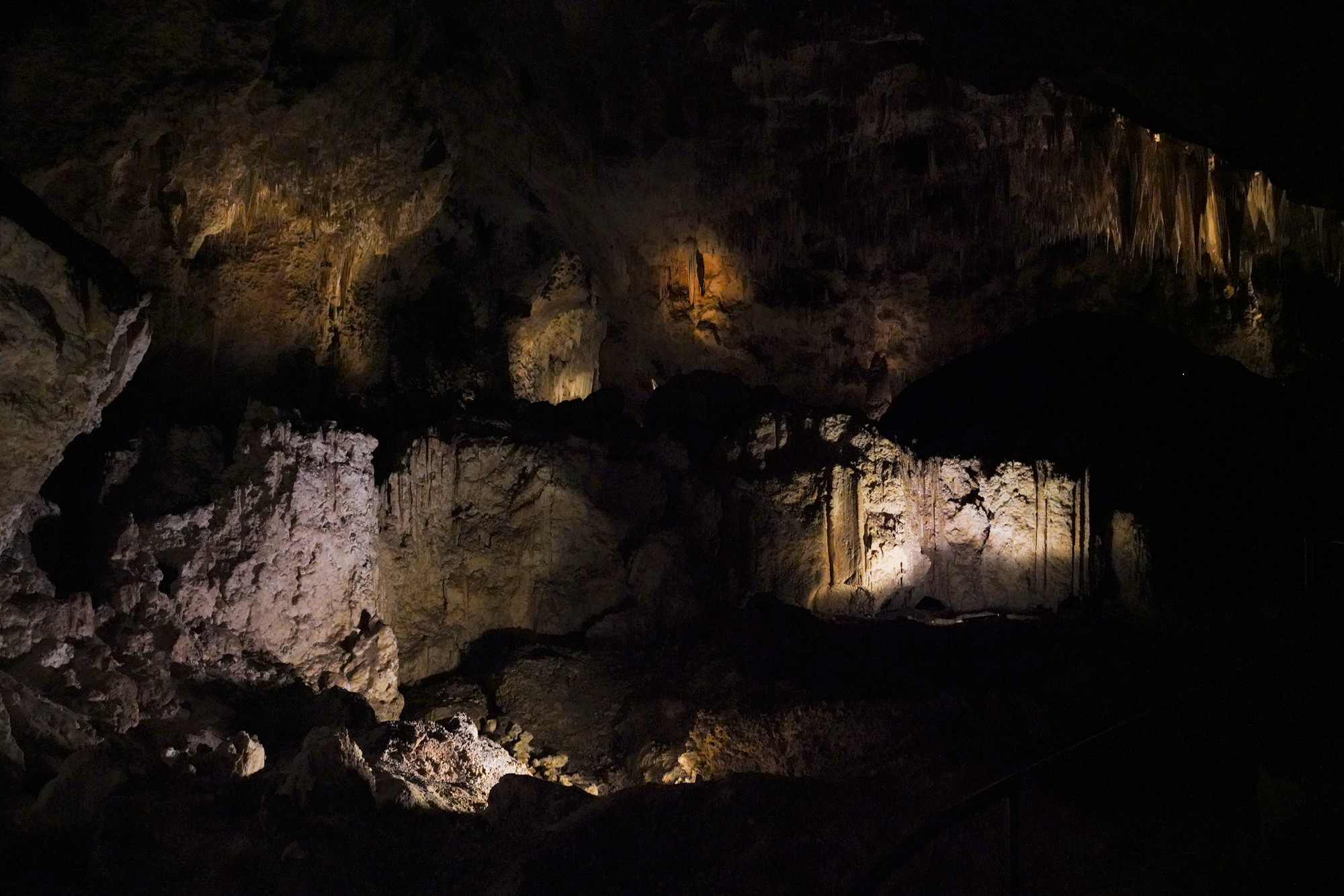 Carlsbad Caverns National Park (69)