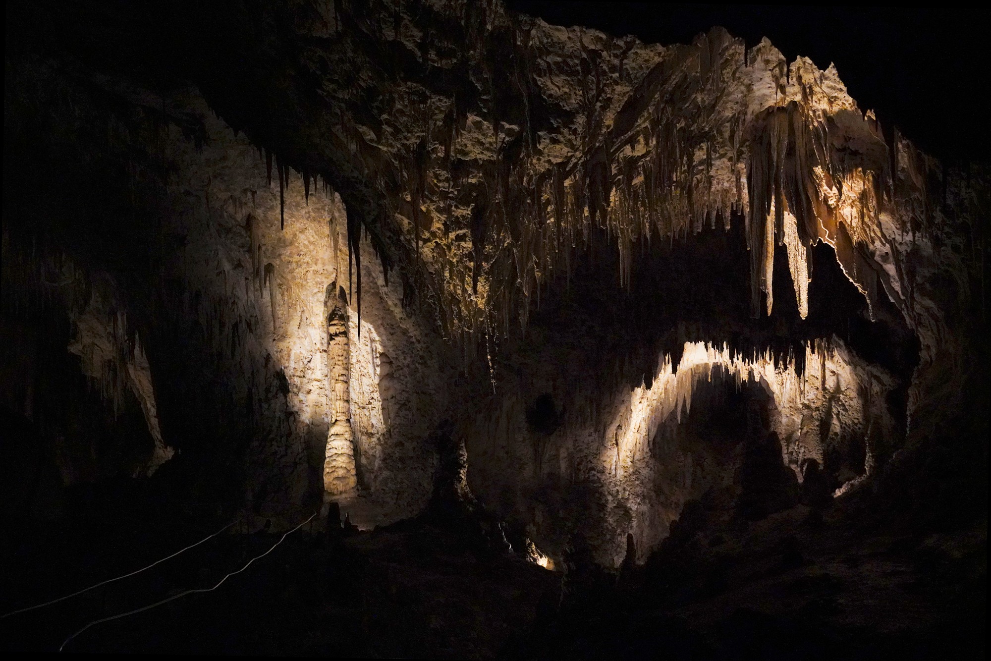 Carlsbad Caverns National Park (70)