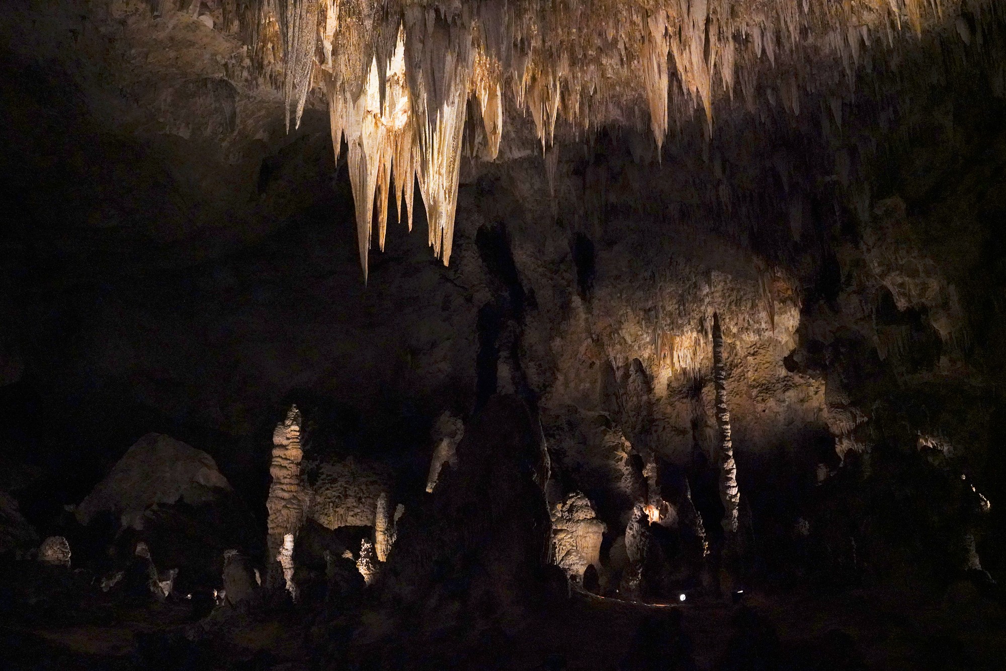 Carlsbad Caverns National Park (71)