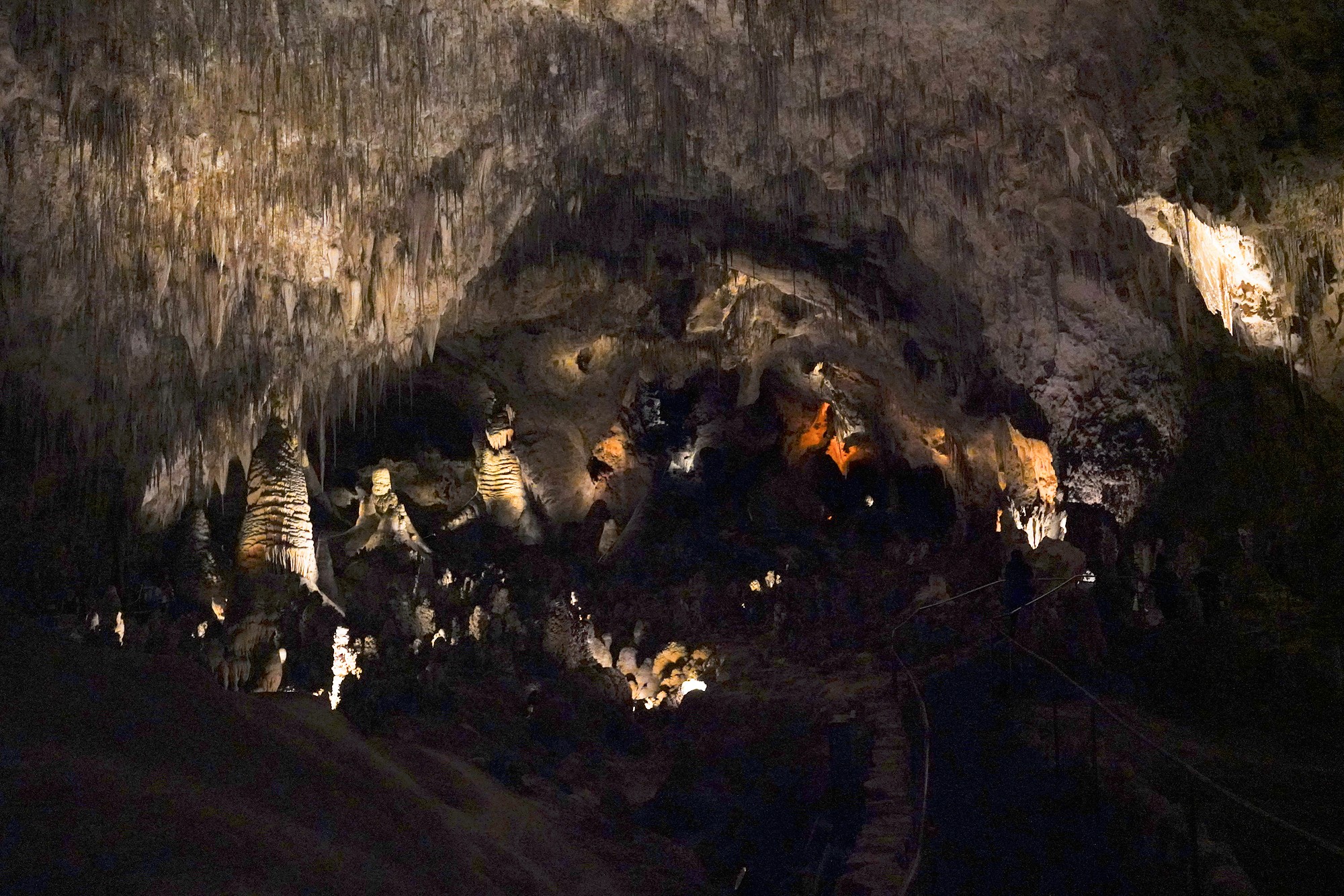 Carlsbad Caverns National Park (72)