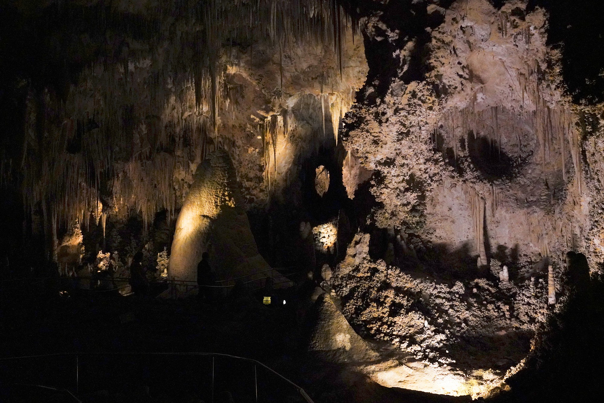 Carlsbad Caverns National Park (73)
