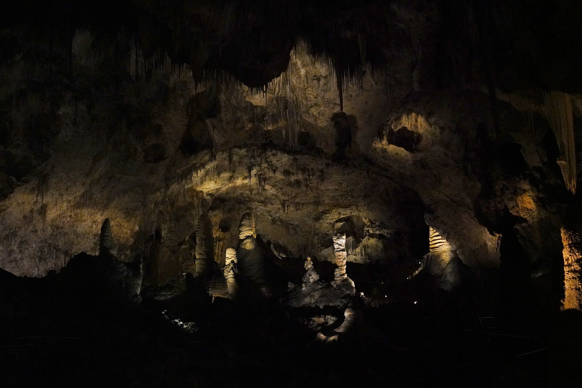 Carlsbad Caverns National Park (74)