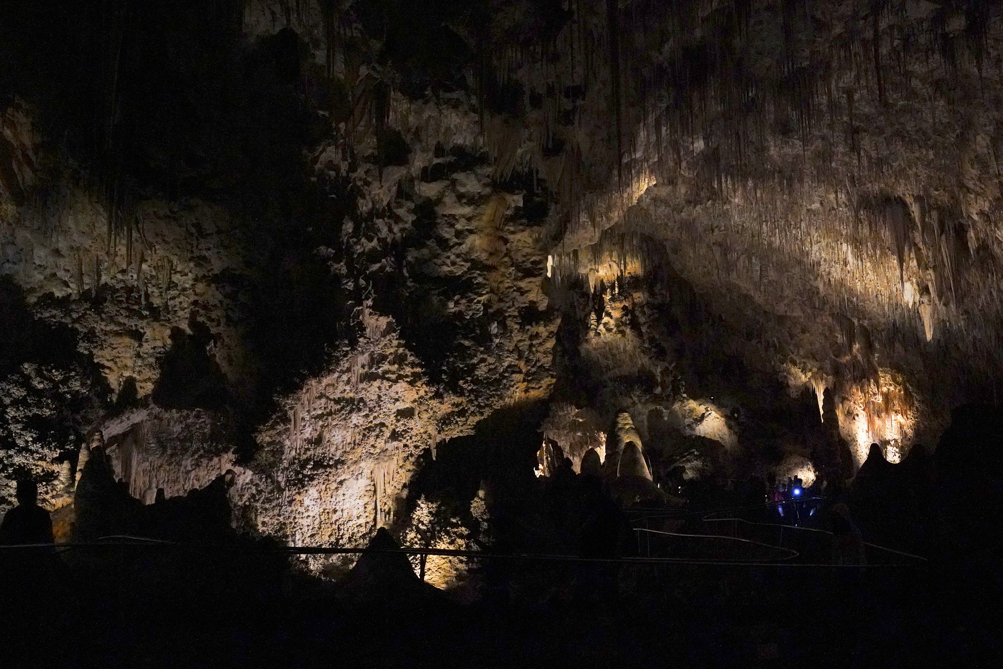 Carlsbad Caverns National Park (75)
