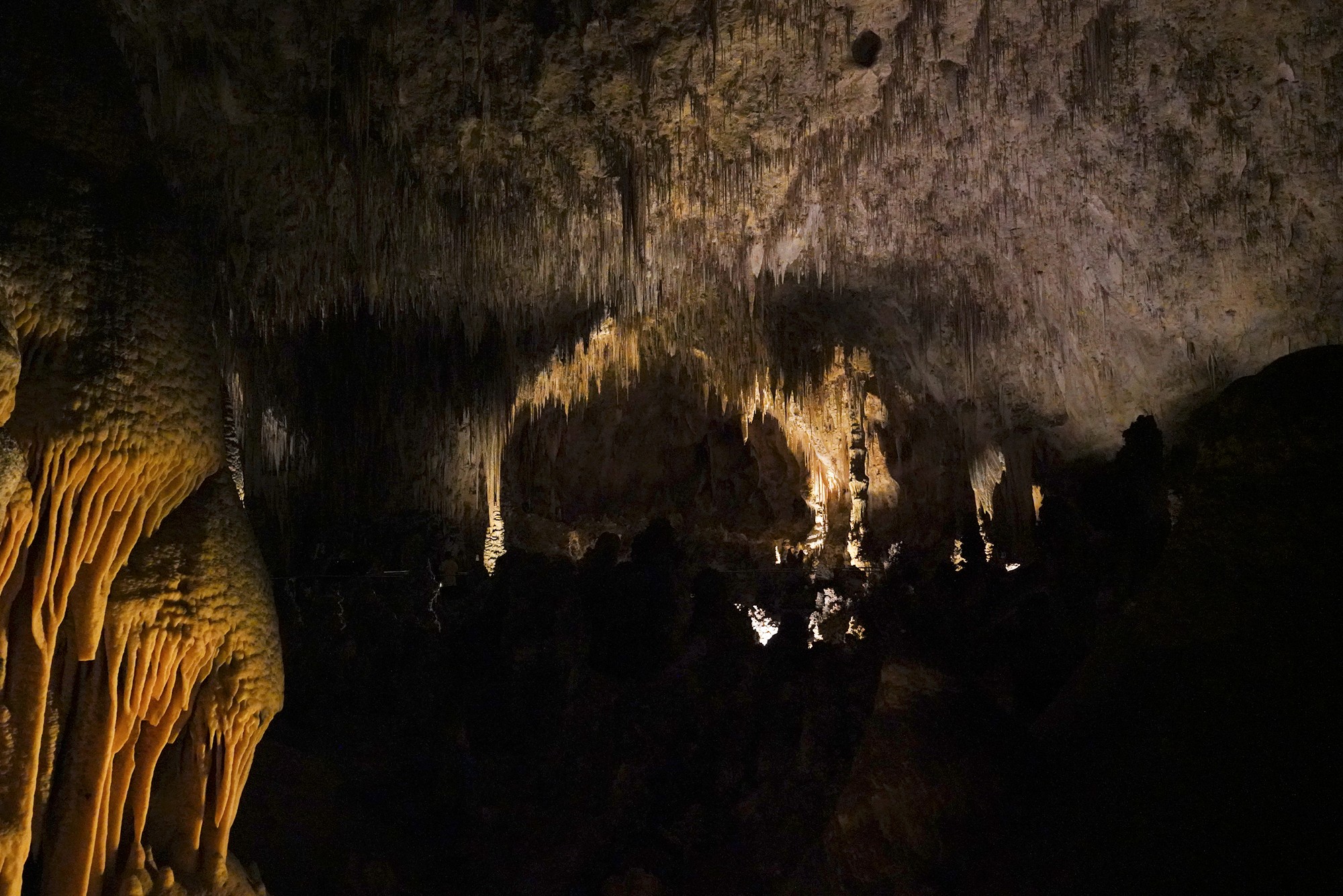 Carlsbad Caverns National Park (76)