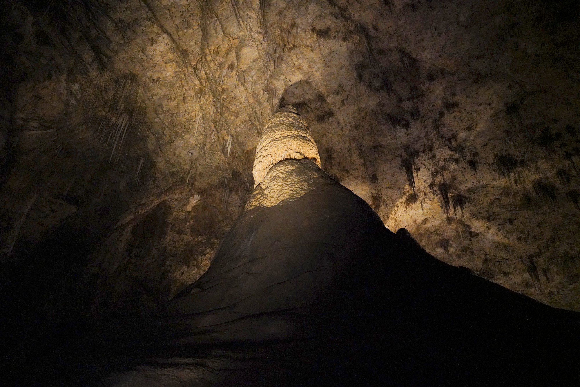 Carlsbad Caverns National Park (77)