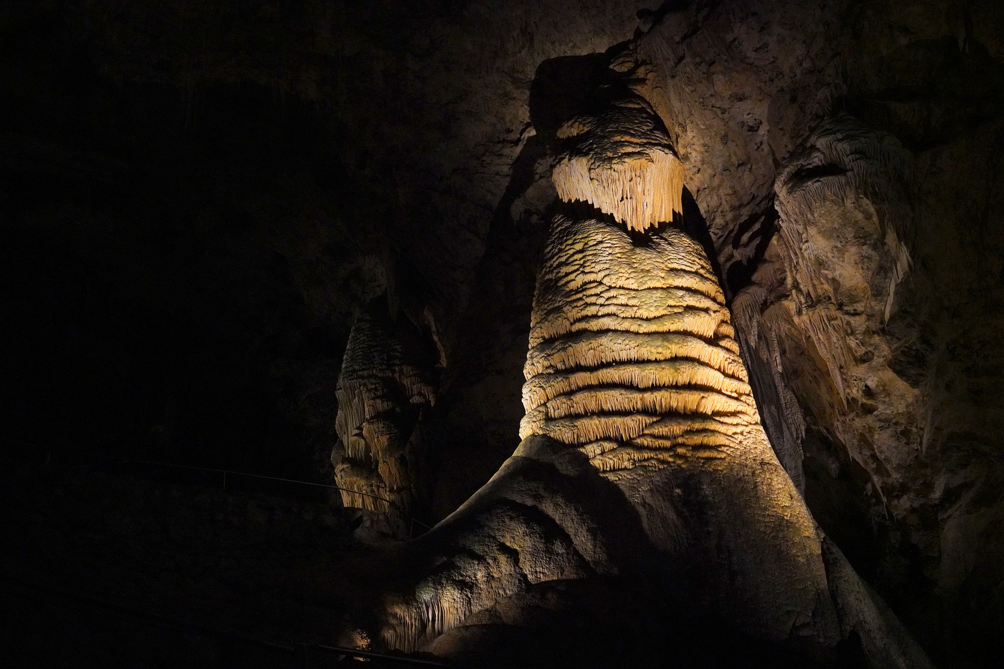 Carlsbad Caverns National Park (78)