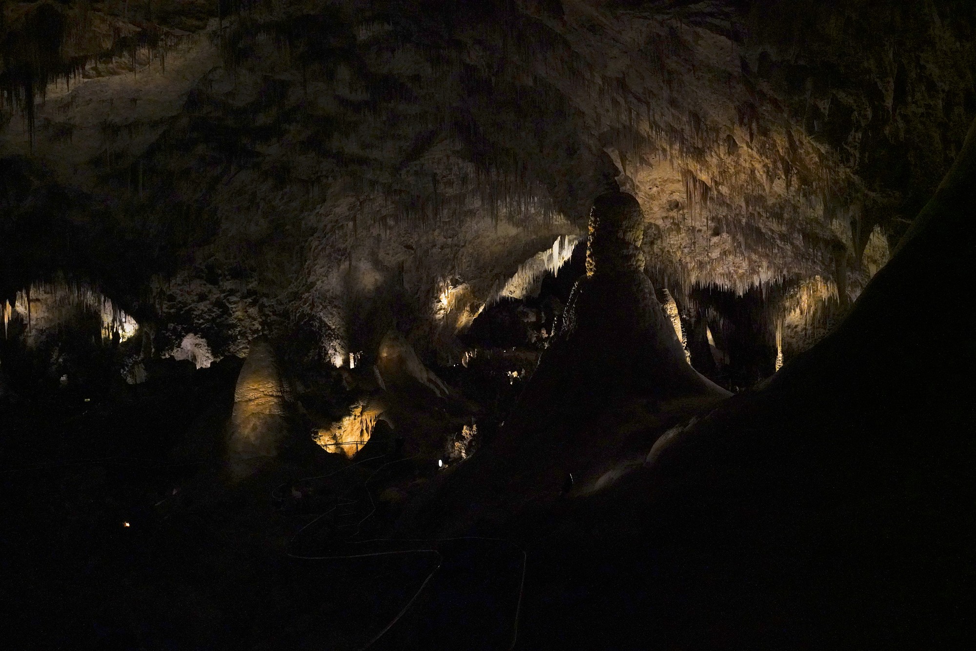 Carlsbad Caverns National Park (79)