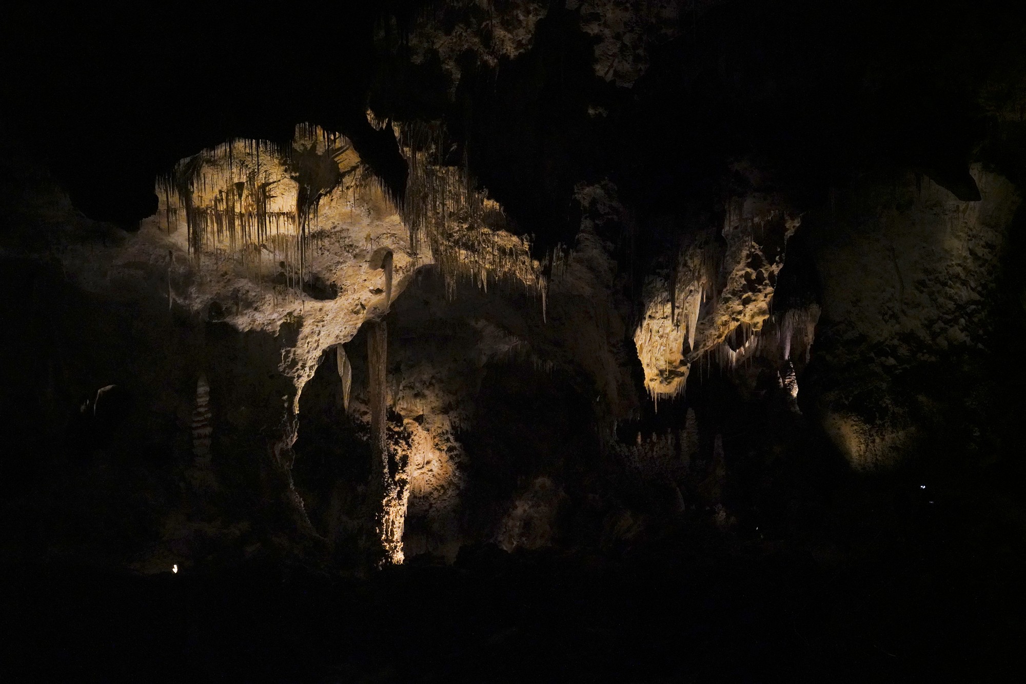 Carlsbad Caverns National Park (80)