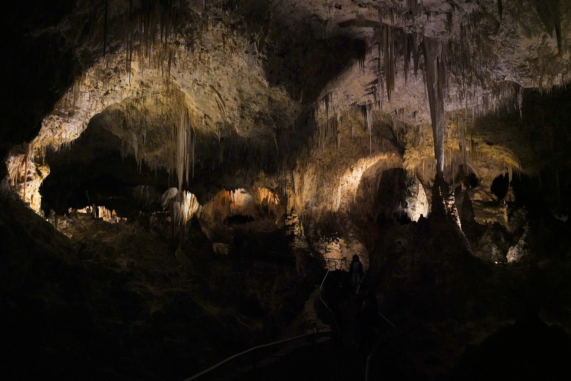 Carlsbad Caverns National Park (81)