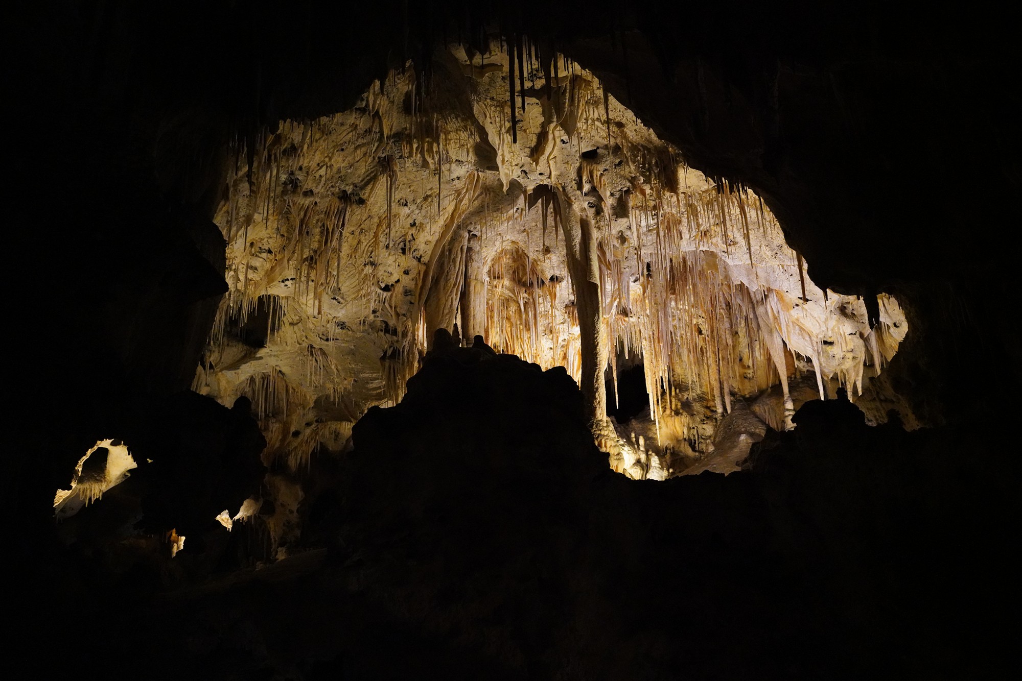 Carlsbad Caverns National Park (82)