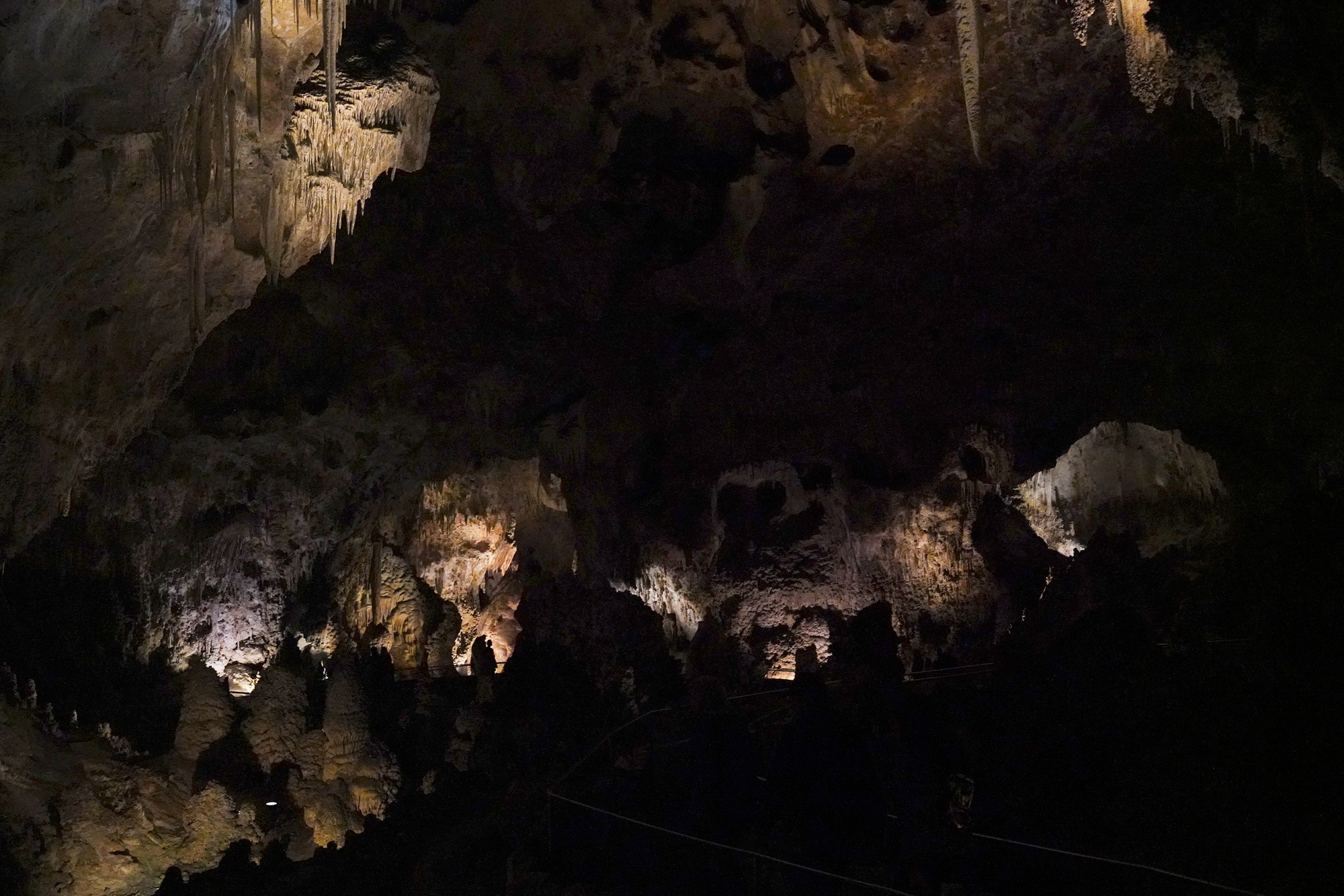 Carlsbad Caverns National Park (83)