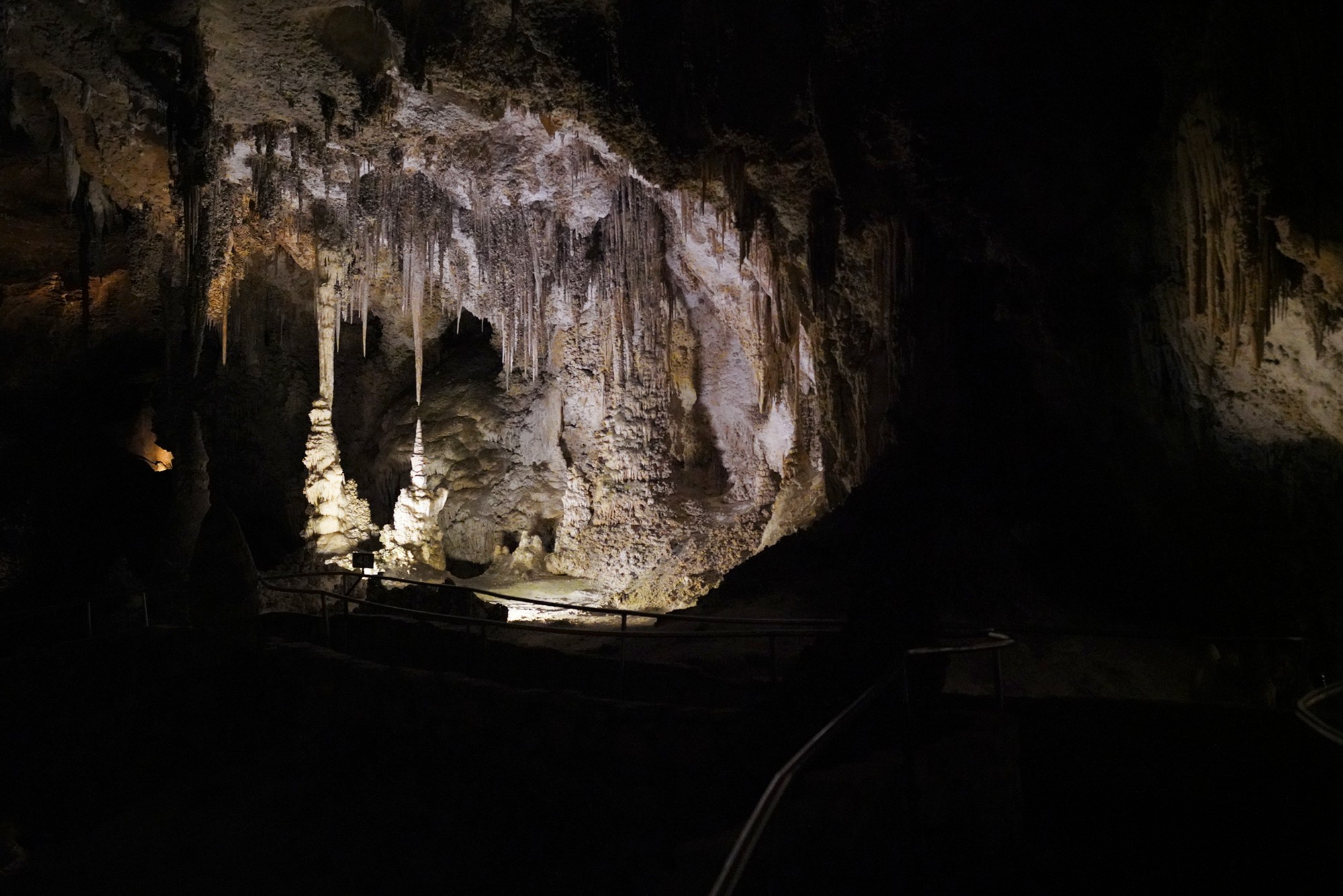 Carlsbad Caverns National Park (84)