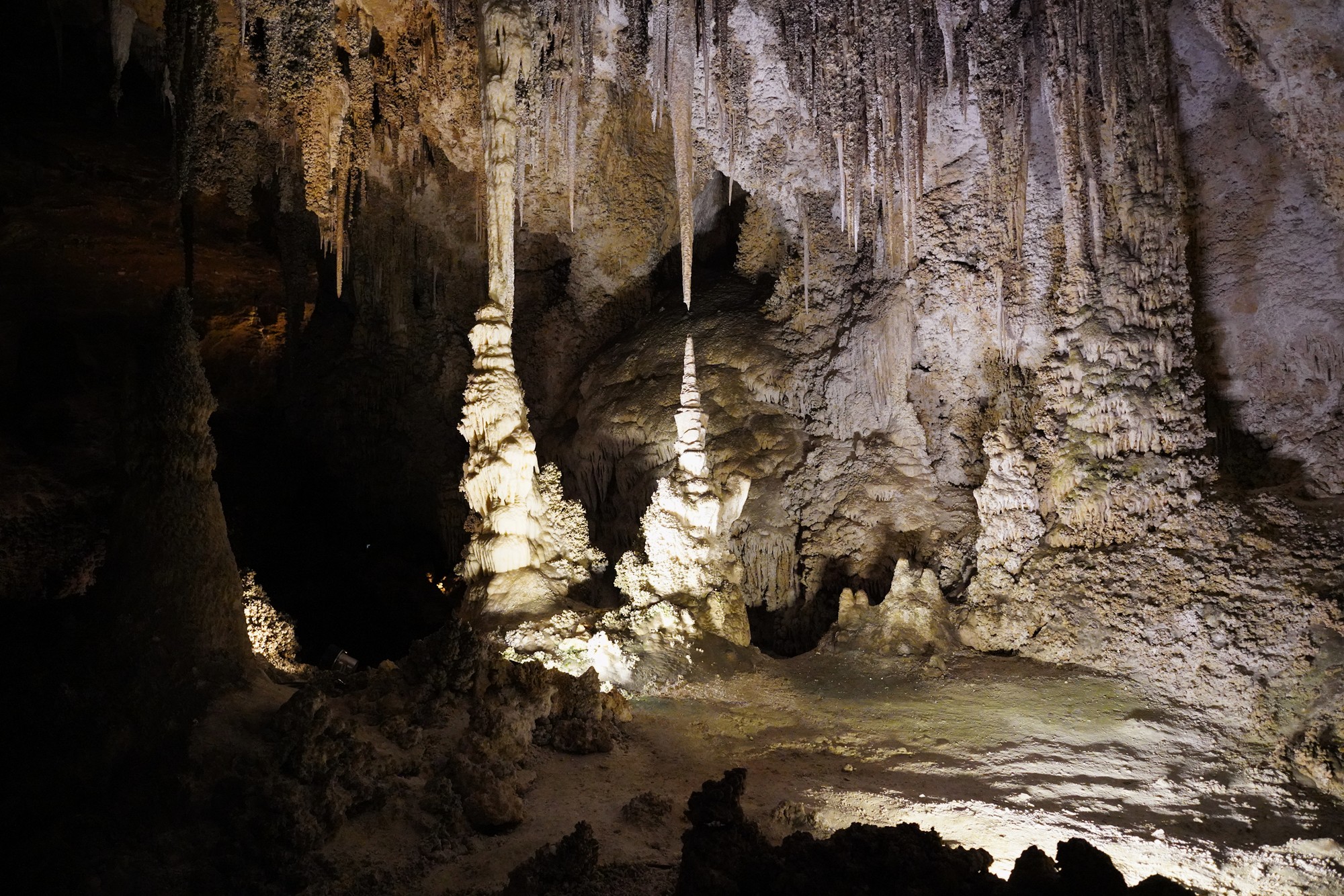 Carlsbad Caverns National Park (85)