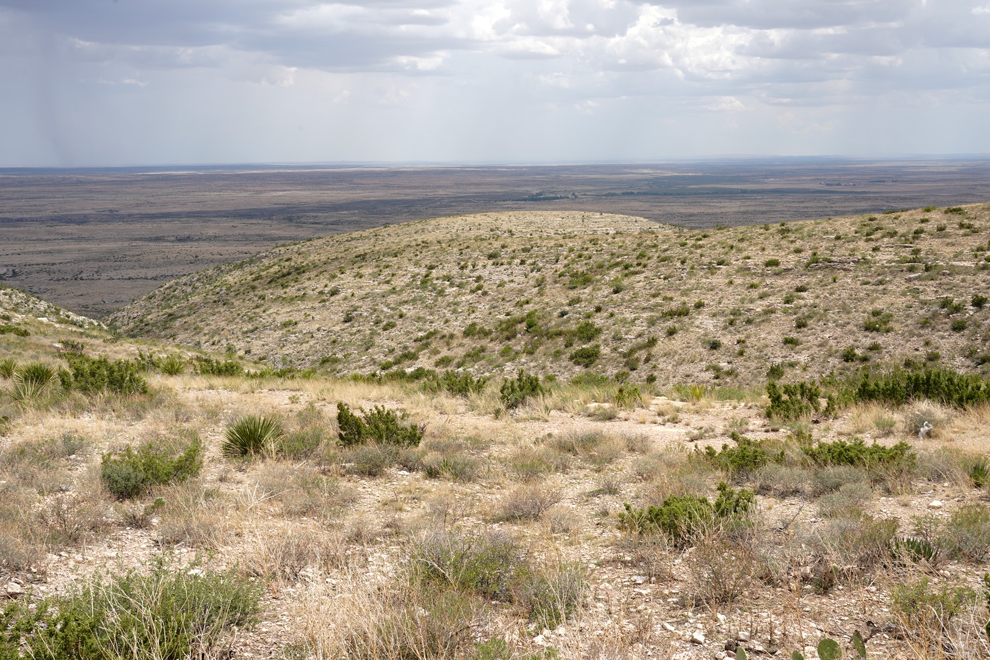 Carlsbad Caverns National Park (87)