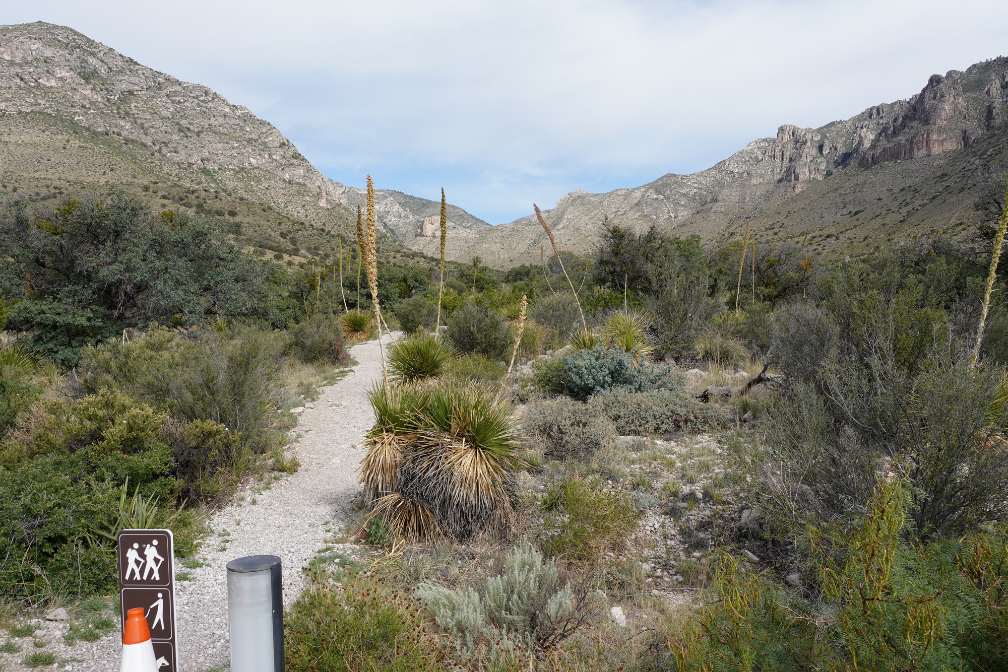 Guadalupe Mountains National Park (1)