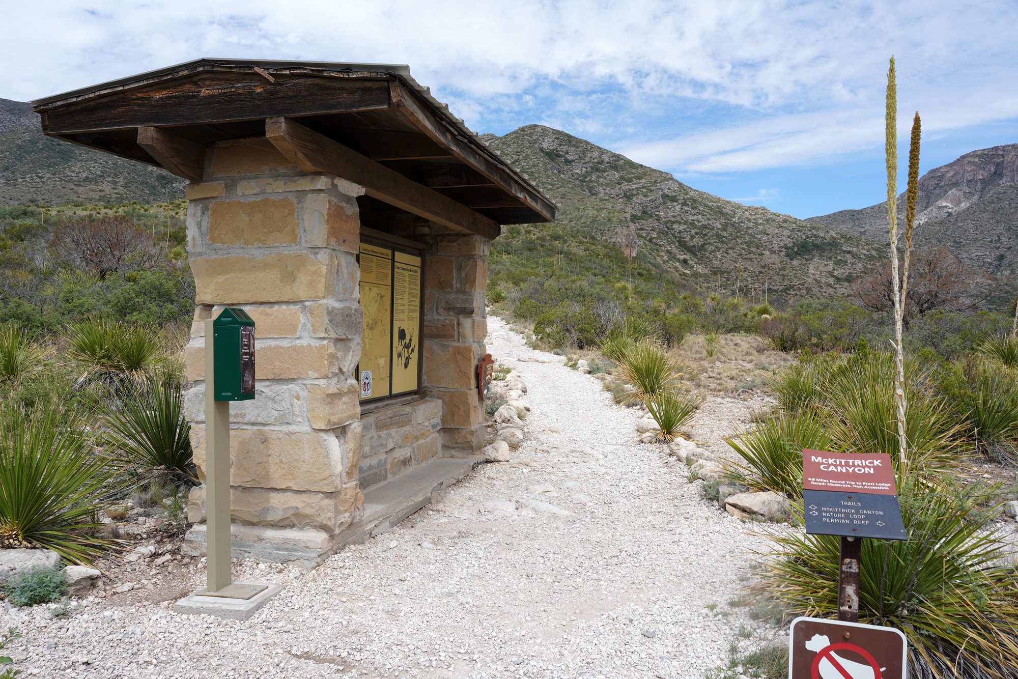 Guadalupe Mountains National Park (14)