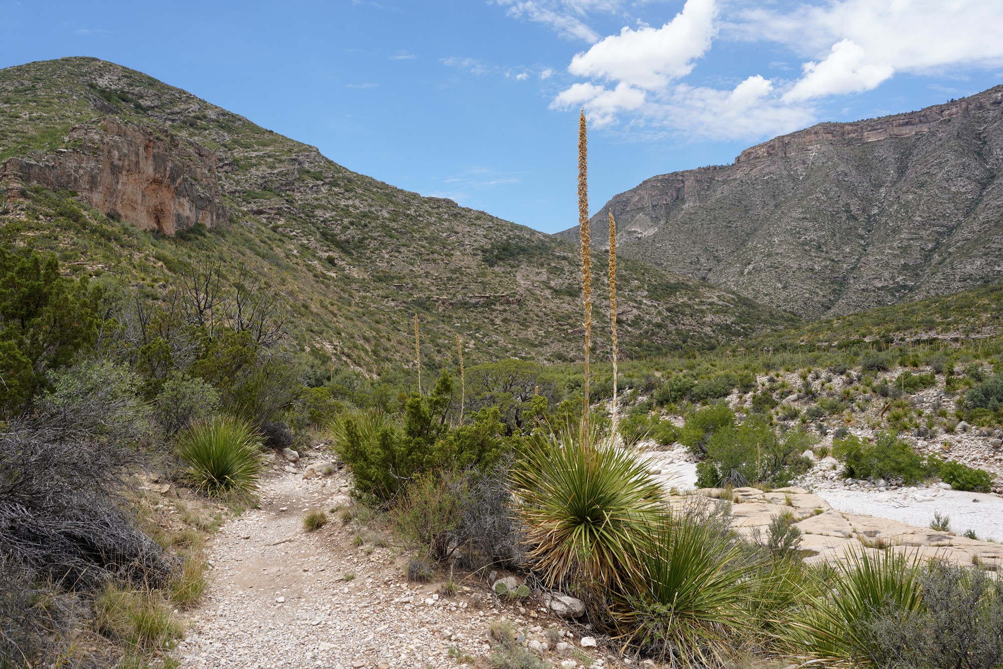 Guadalupe Mountains National Park (15)