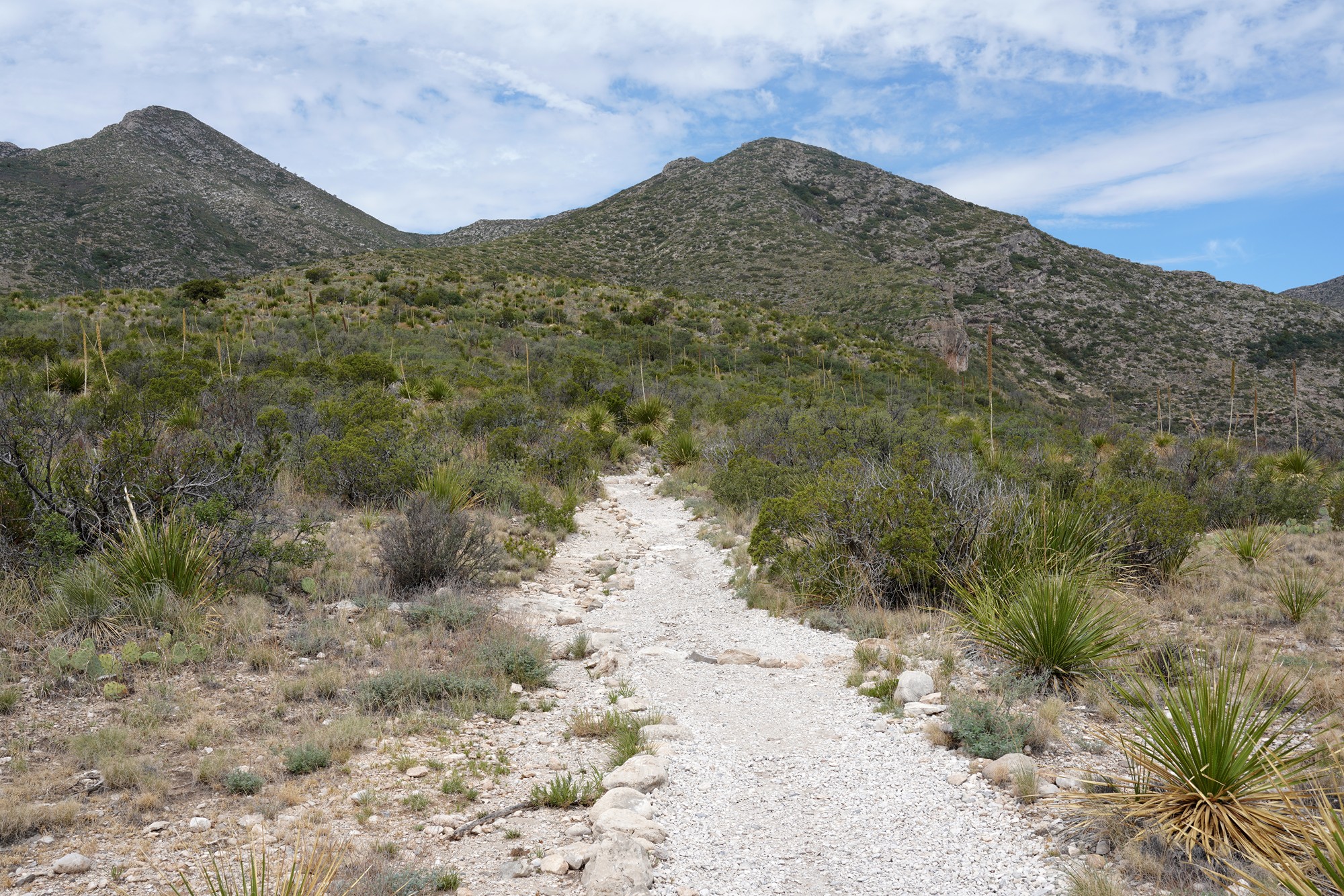 Guadalupe Mountains National Park (16)