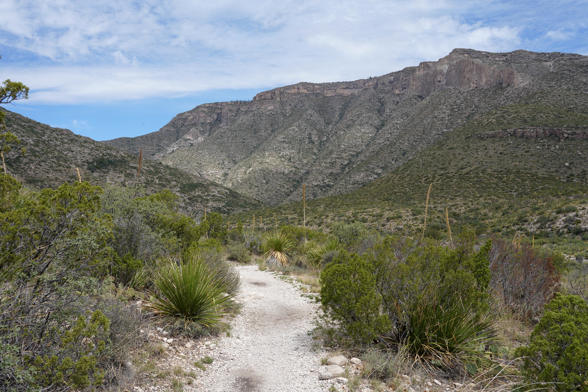 Guadalupe Mountains National Park (17)