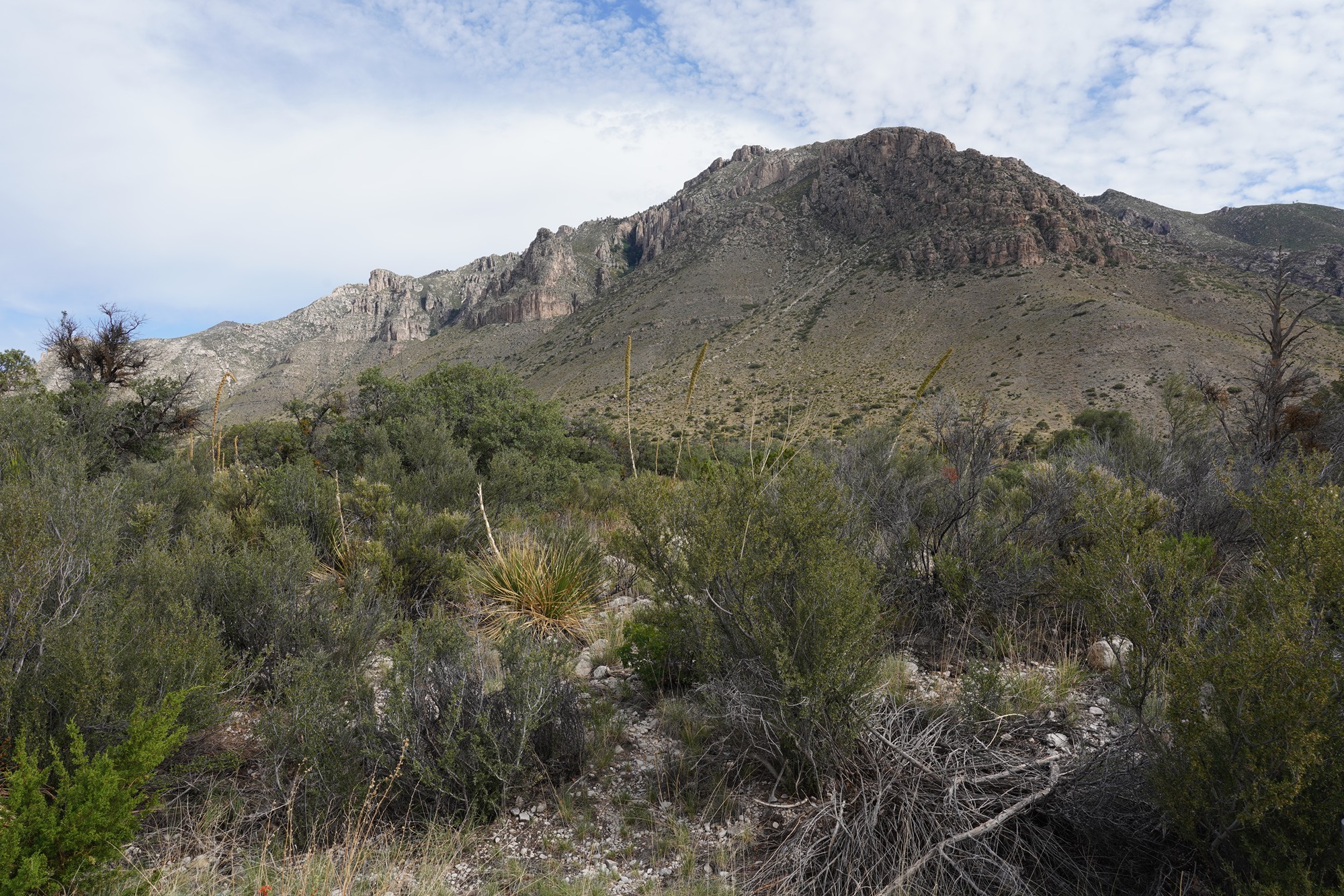 Guadalupe Mountains National Park (2)