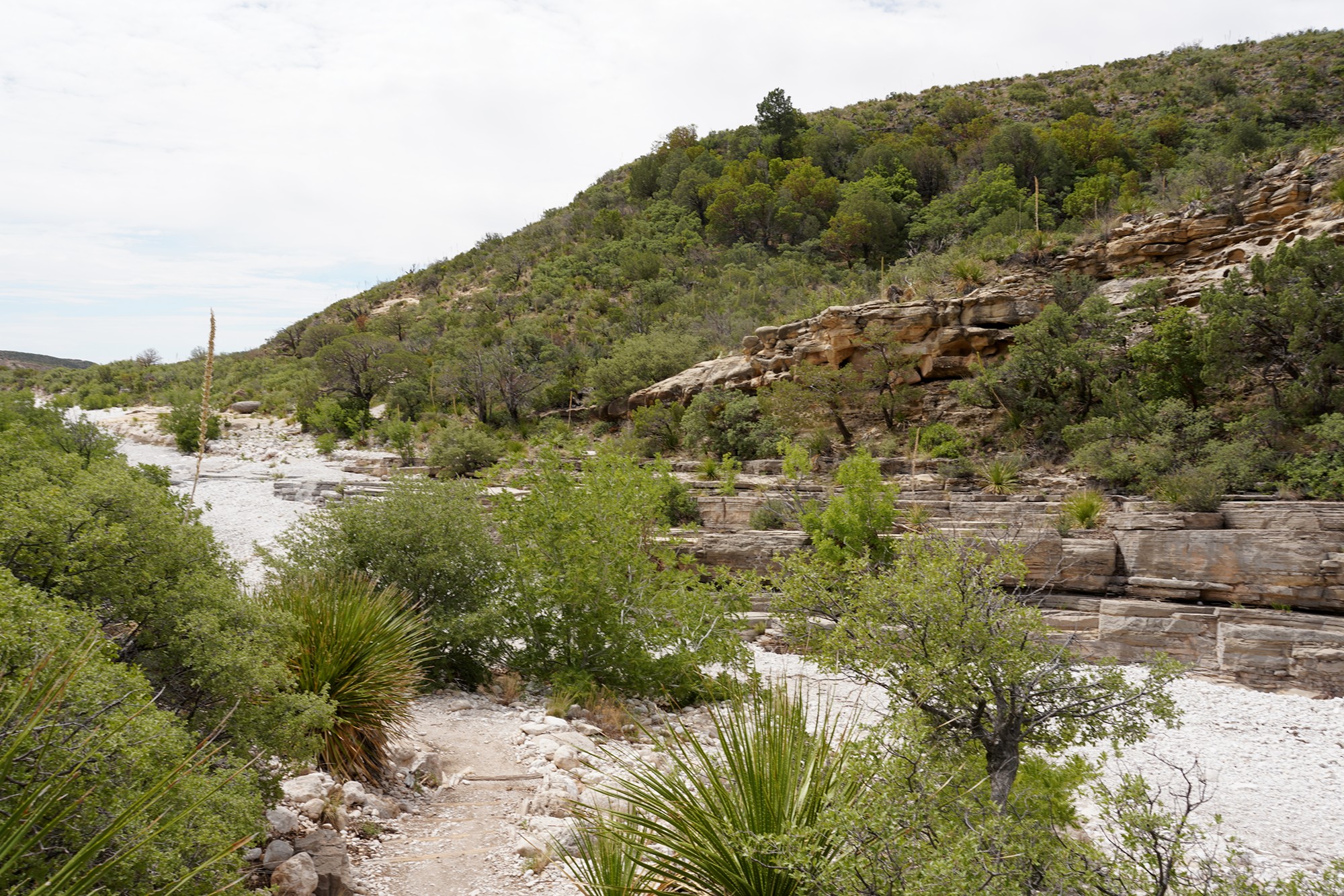 Guadalupe Mountains National Park (20)