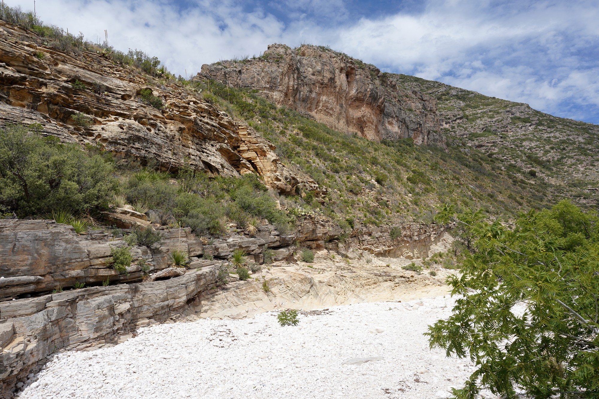 Guadalupe Mountains National Park (22)
