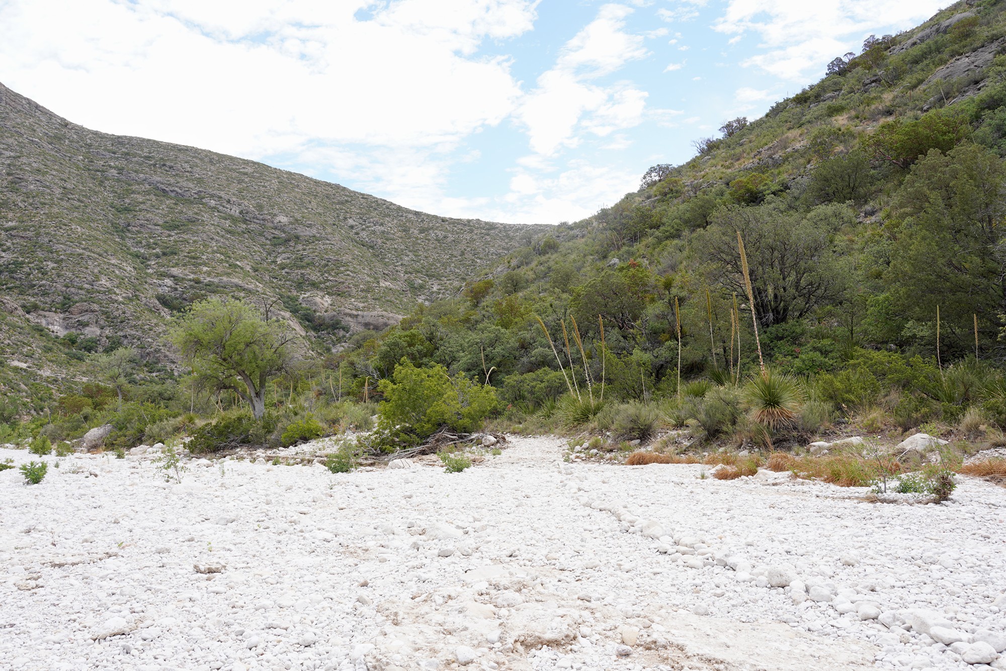 Guadalupe Mountains National Park (25)