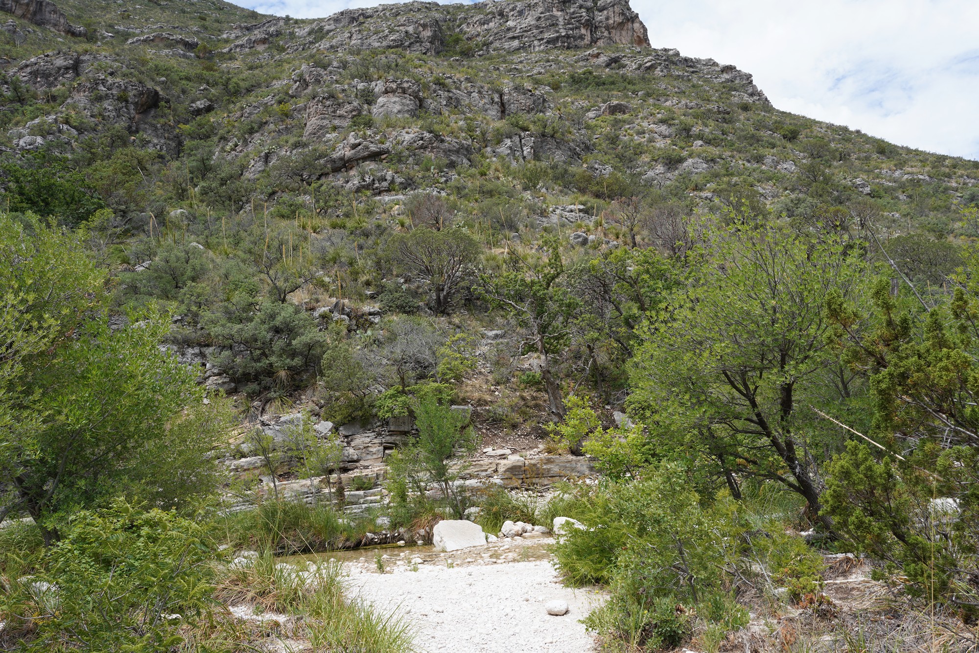 Guadalupe Mountains National Park (27)