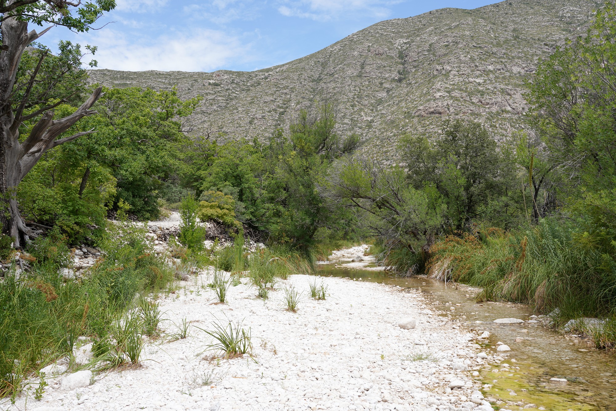 Guadalupe Mountains National Park (28)