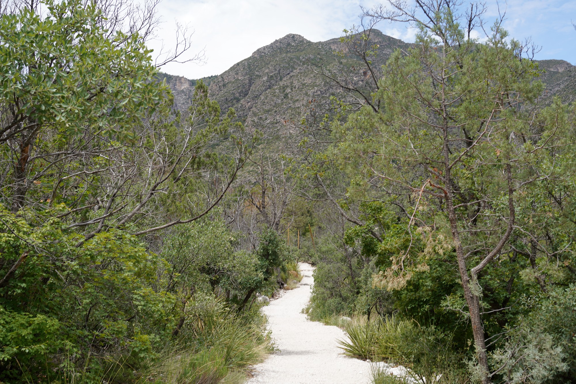 Guadalupe Mountains National Park (40)