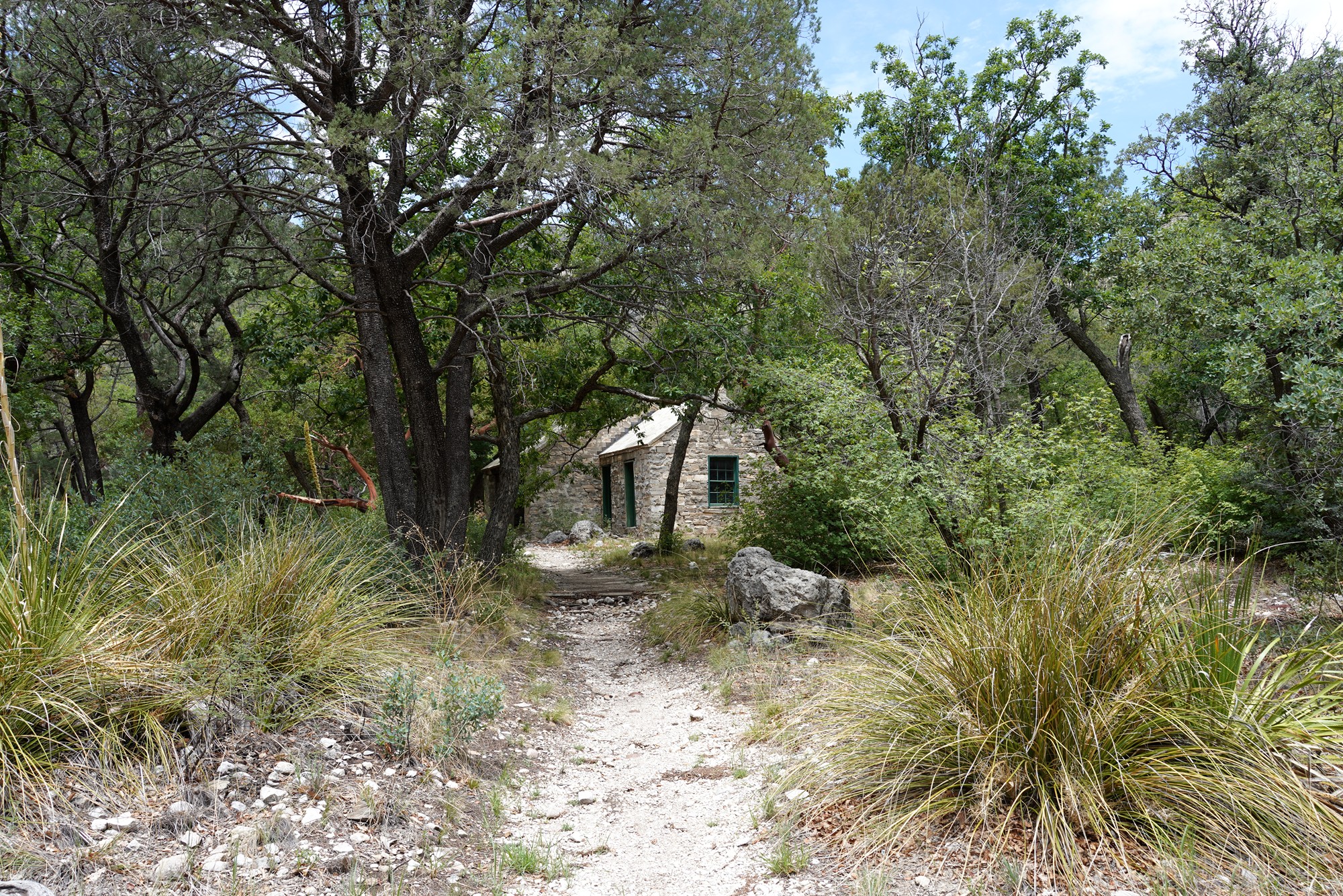 Guadalupe Mountains National Park (44)