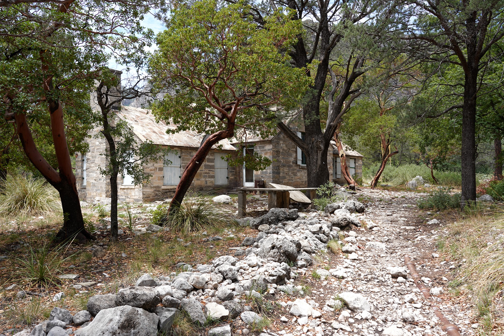 Guadalupe Mountains National Park (45)