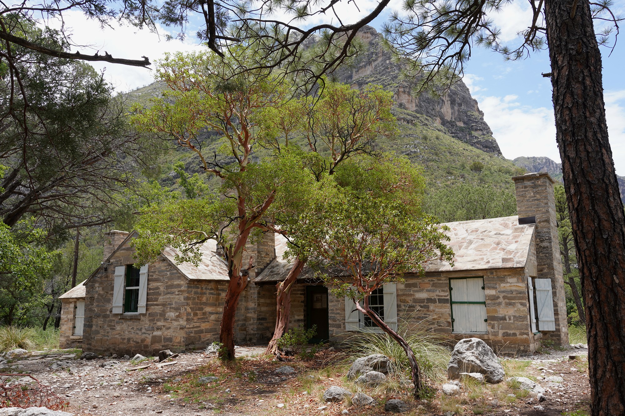 Guadalupe Mountains National Park (46)