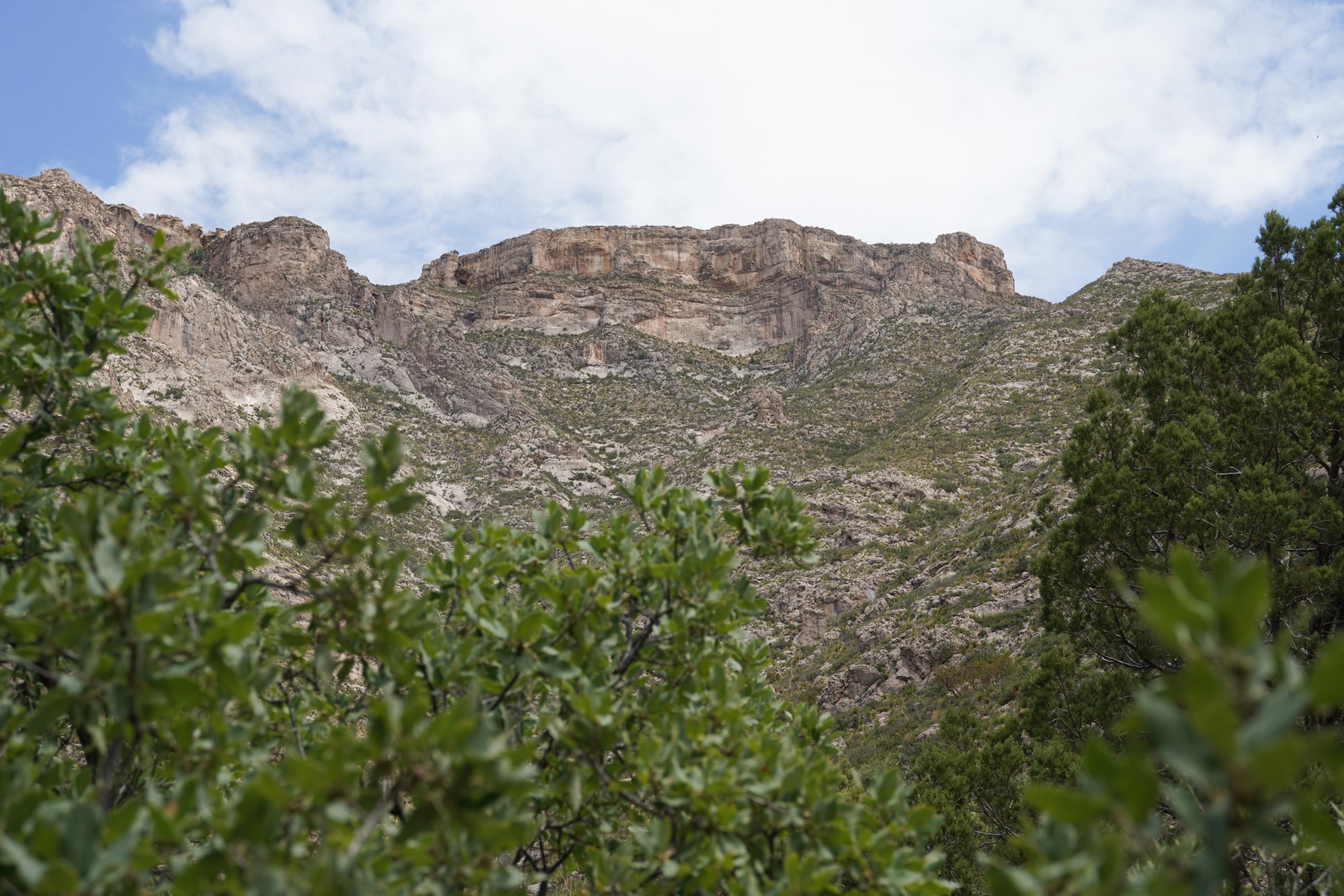 Guadalupe Mountains National Park (49)