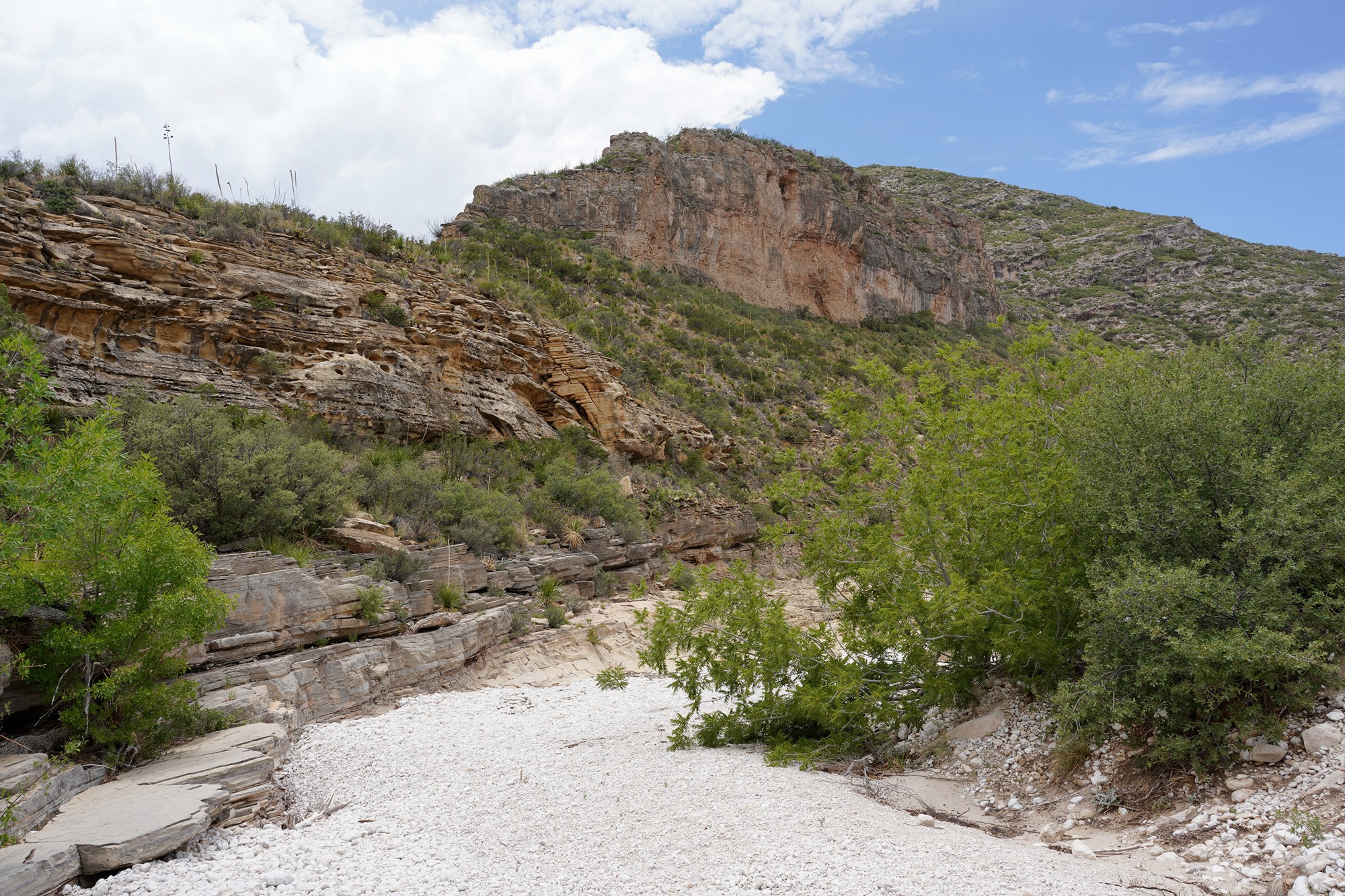 Guadalupe Mountains National Park (55)