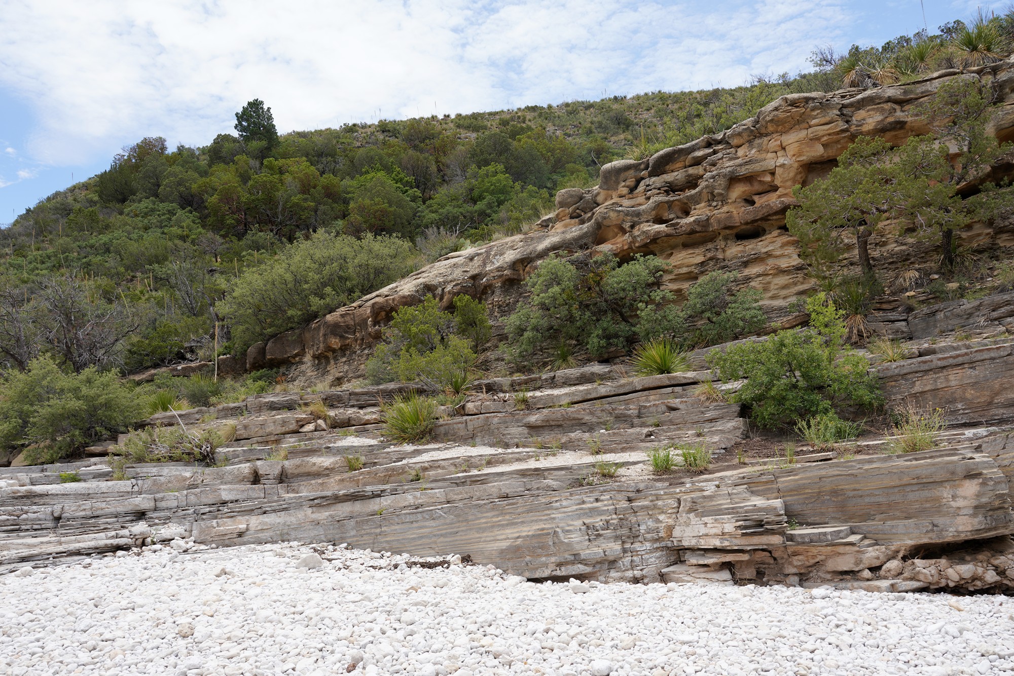 Guadalupe Mountains National Park (56)