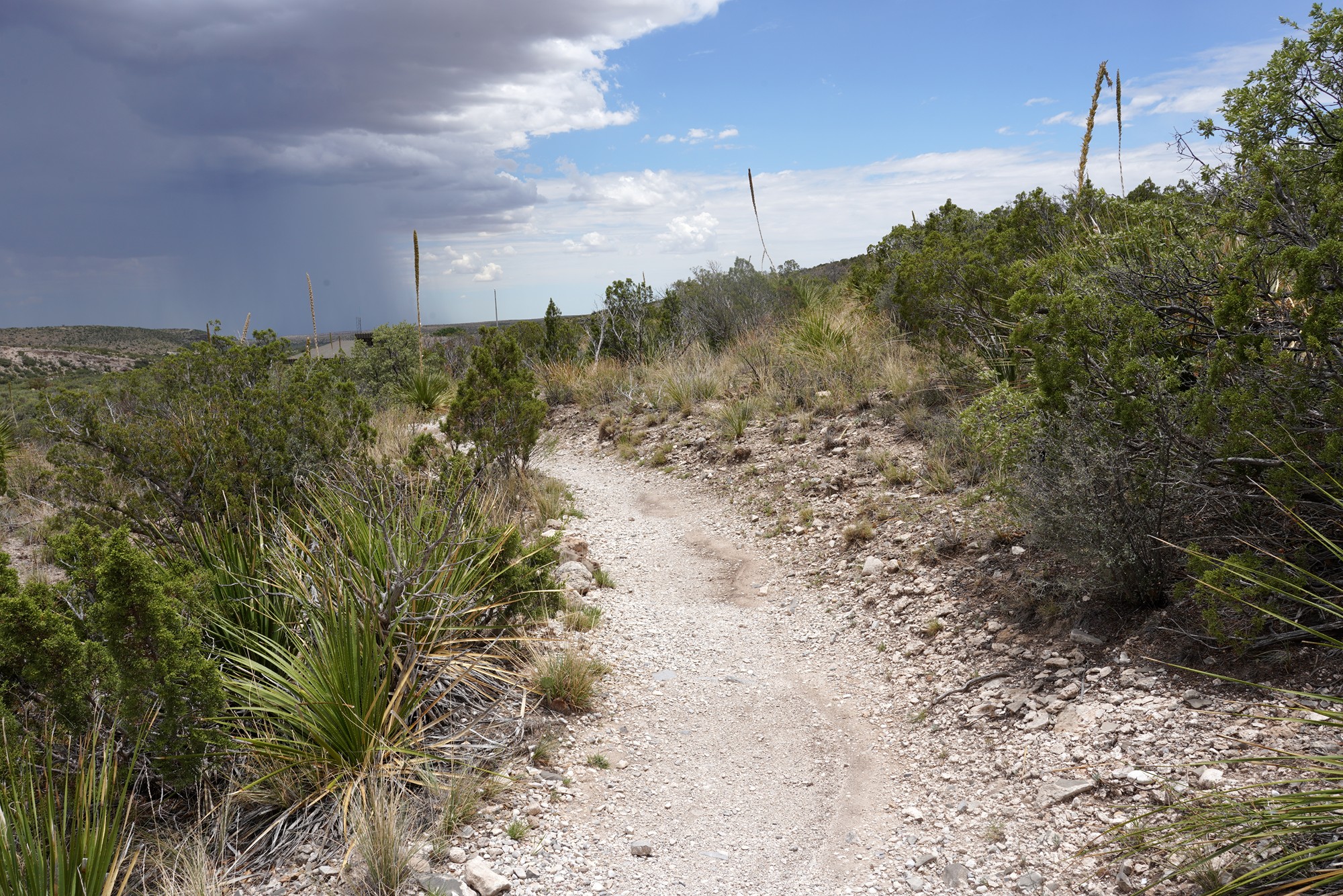 Guadalupe Mountains National Park (57)