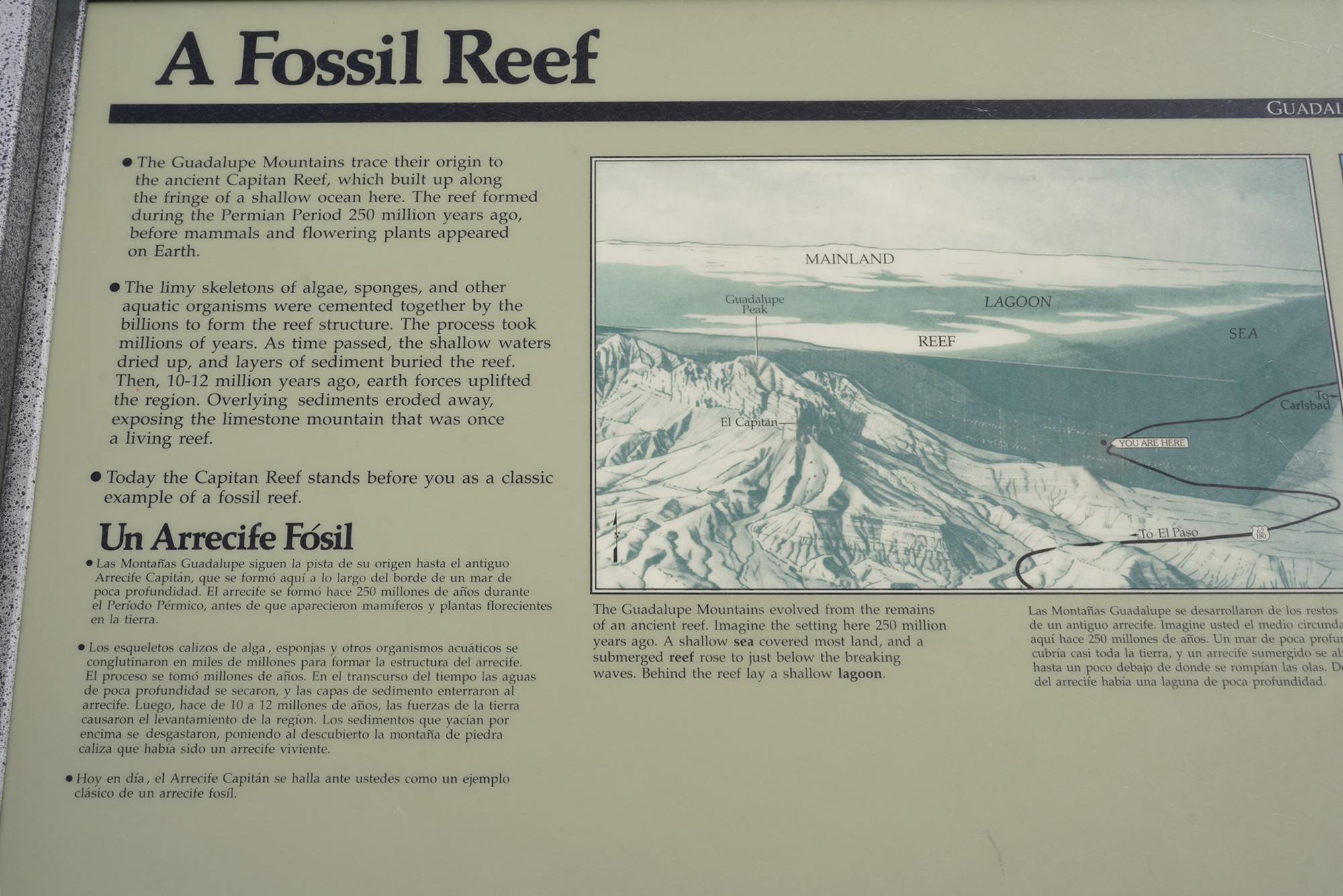 Guadalupe Mountains National Park (7)
