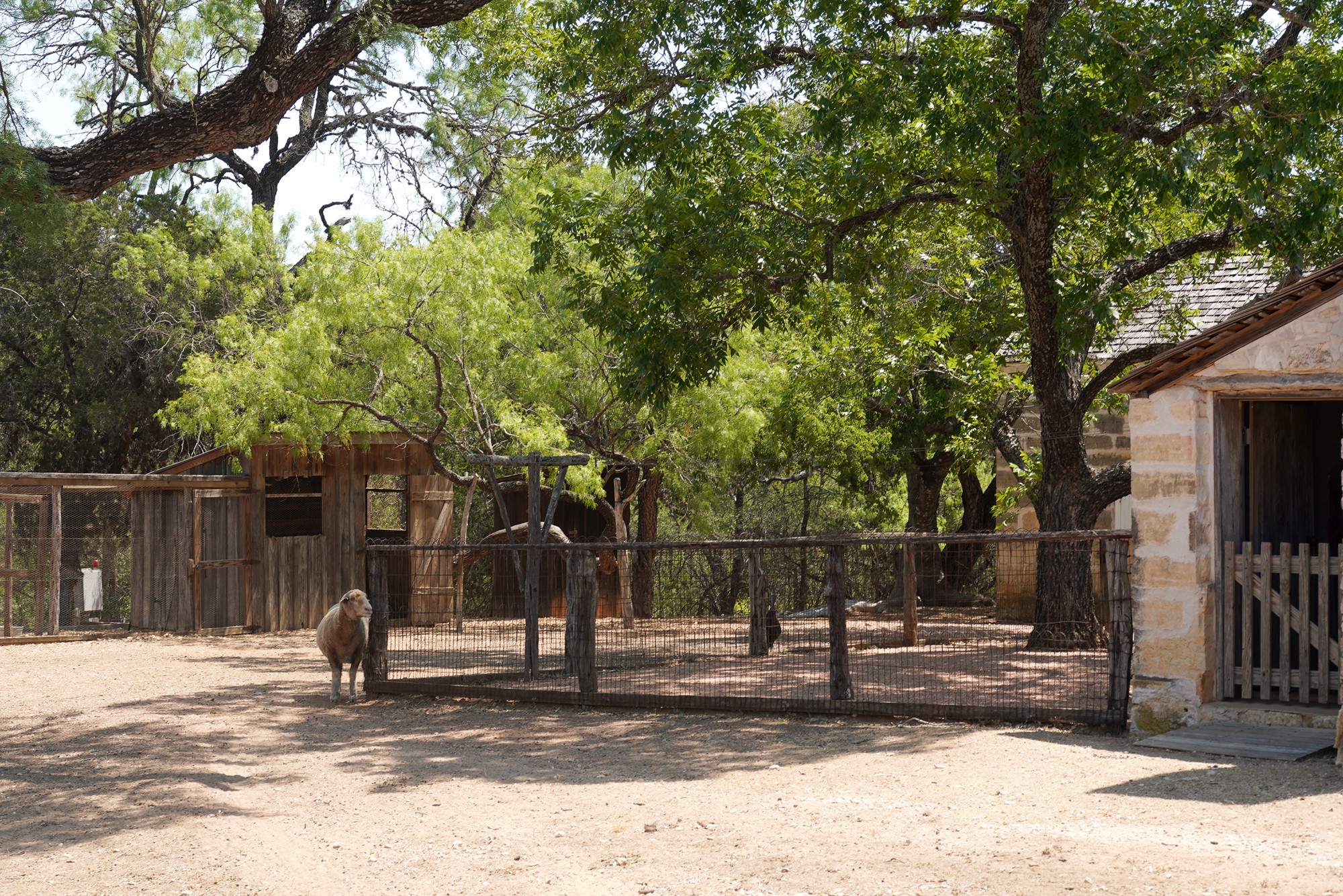 LBJ Ranch (41)