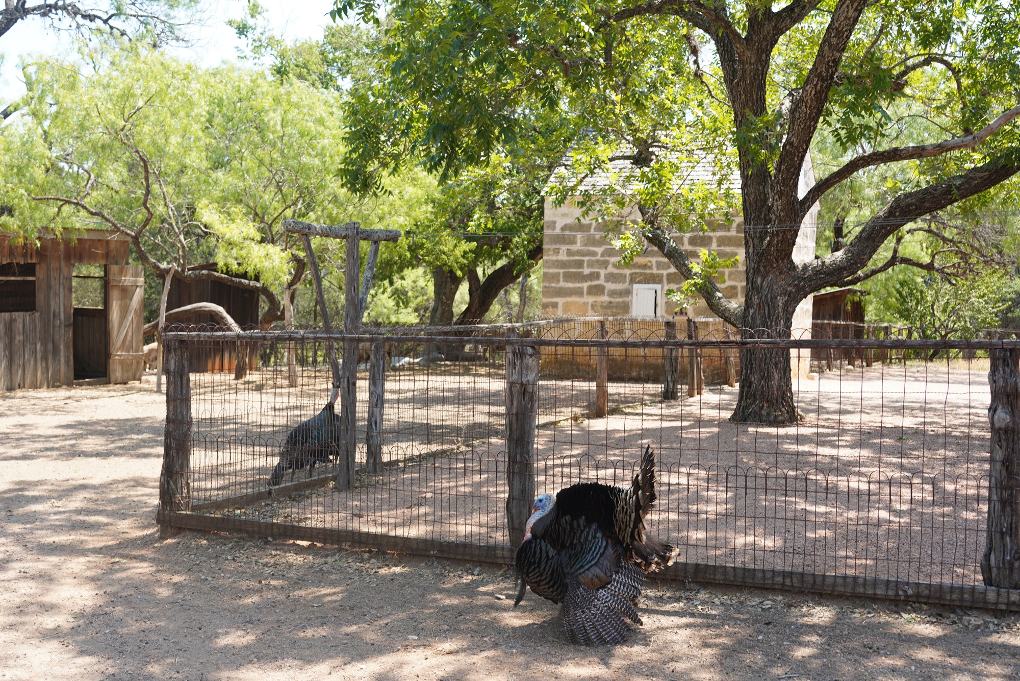 LBJ Ranch (44)