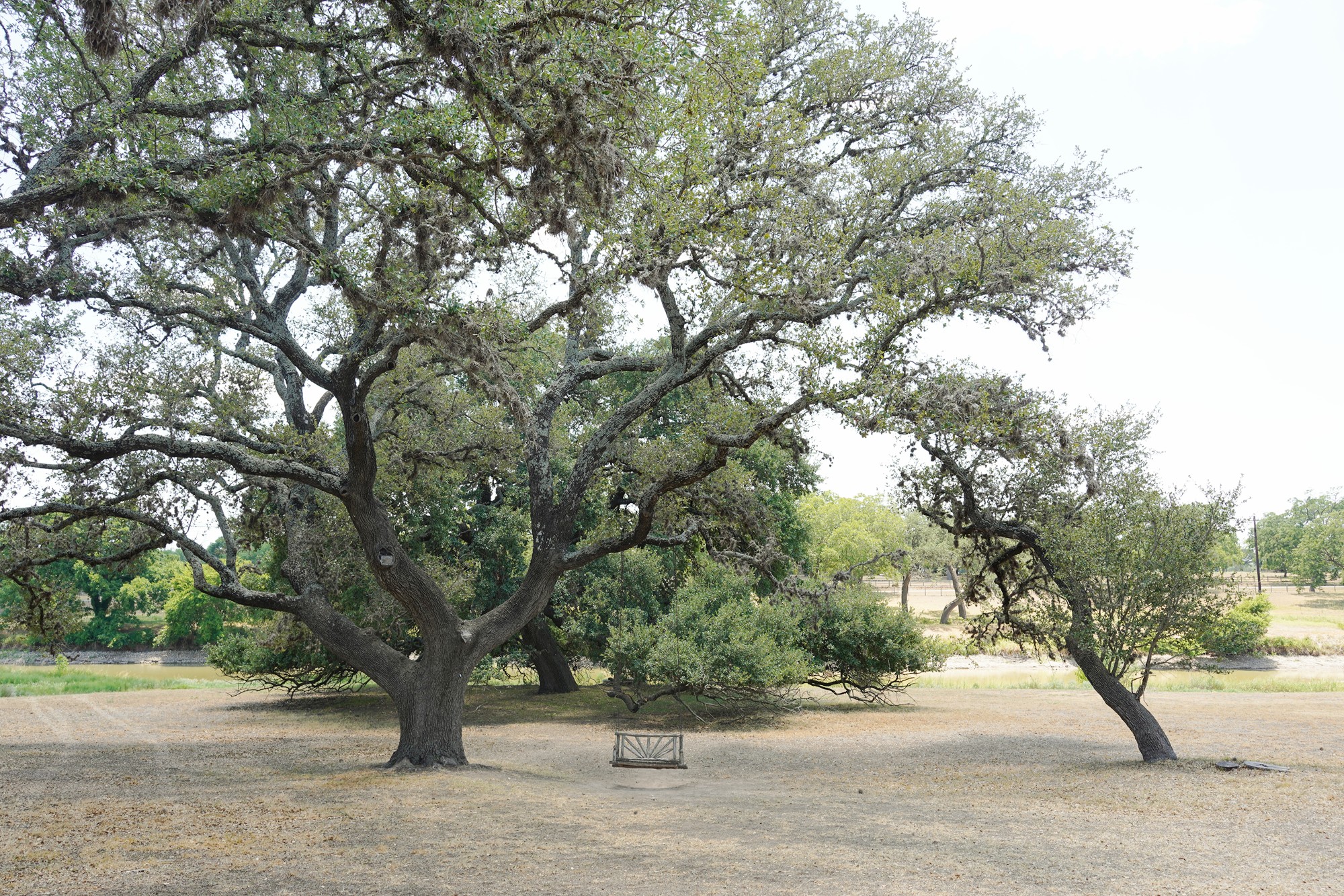 LBJ Ranch (91)