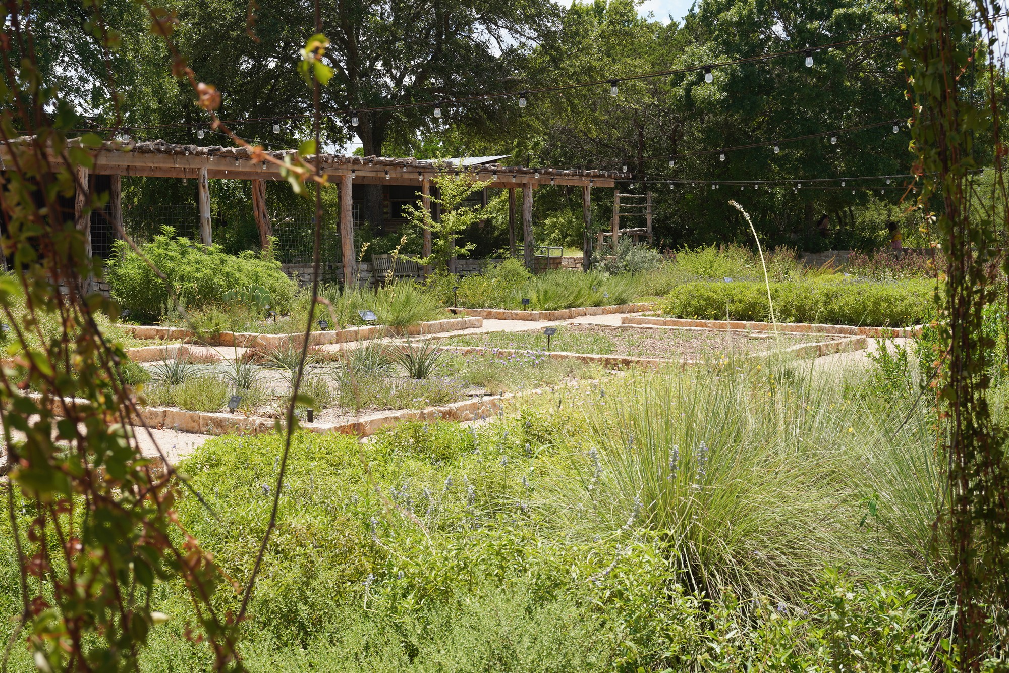 Lady Bird Johnson Wildflower Center (10)