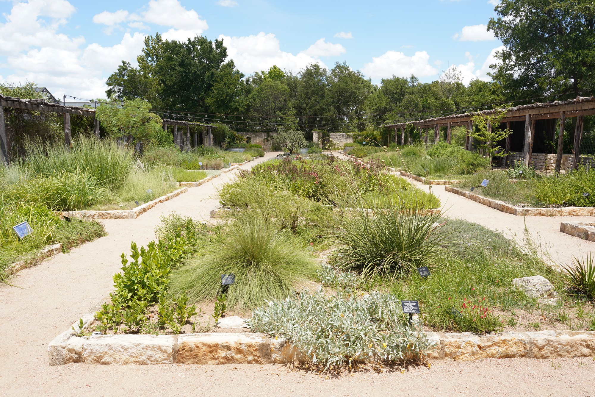Lady Bird Johnson Wildflower Center (11)