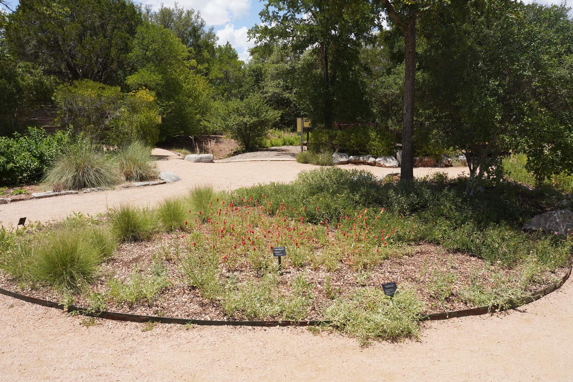Lady Bird Johnson Wildflower Center (12)