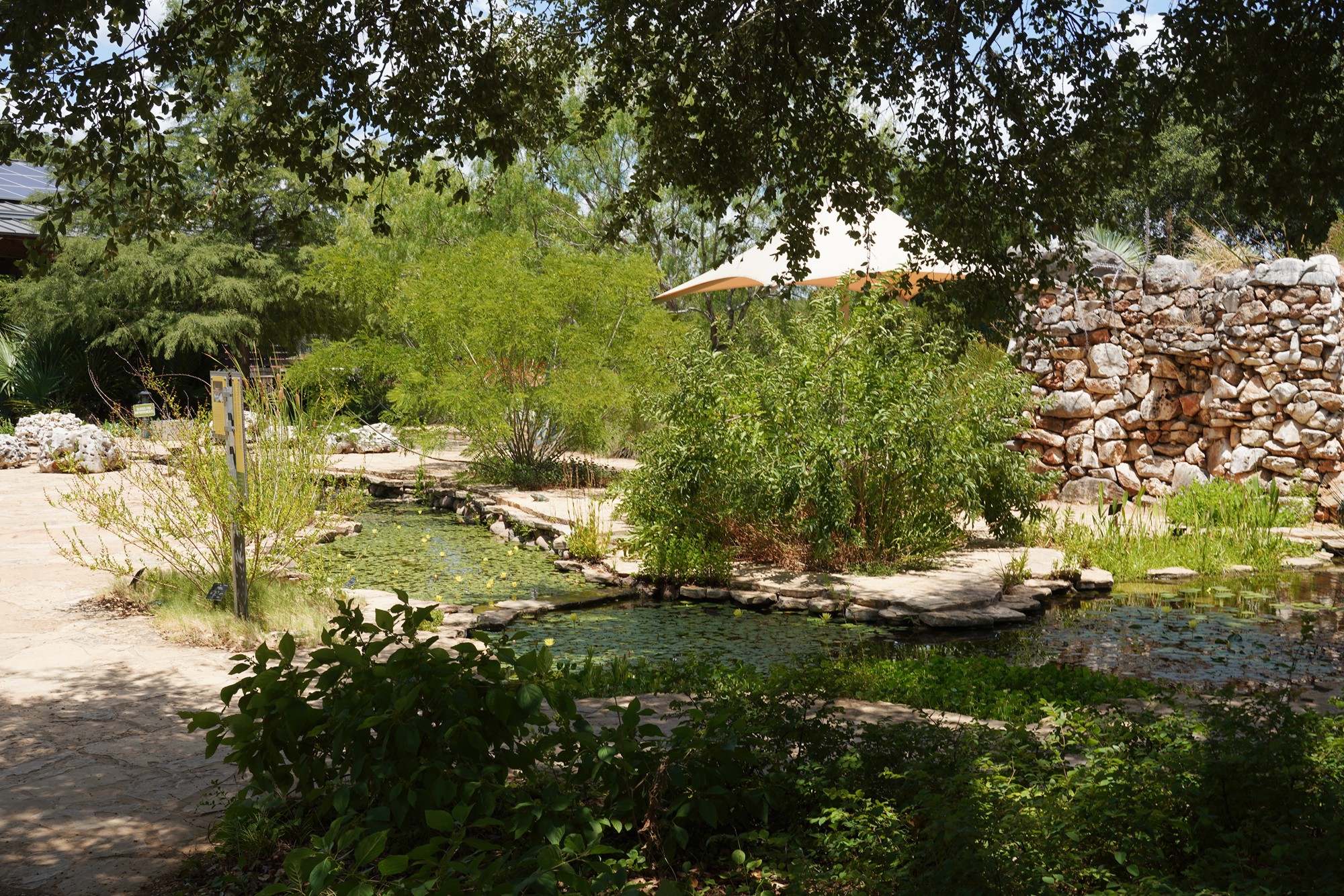 Lady Bird Johnson Wildflower Center (14)
