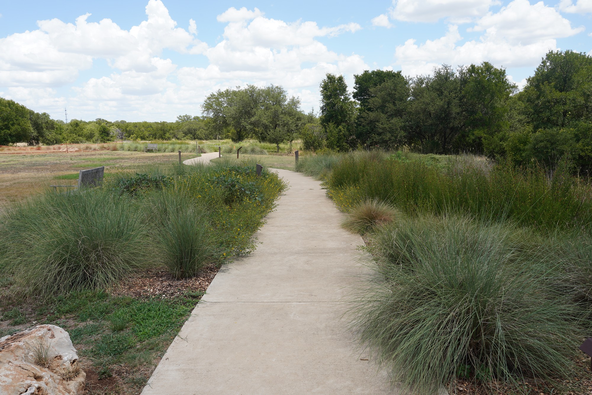 Lady Bird Johnson Wildflower Center (17)