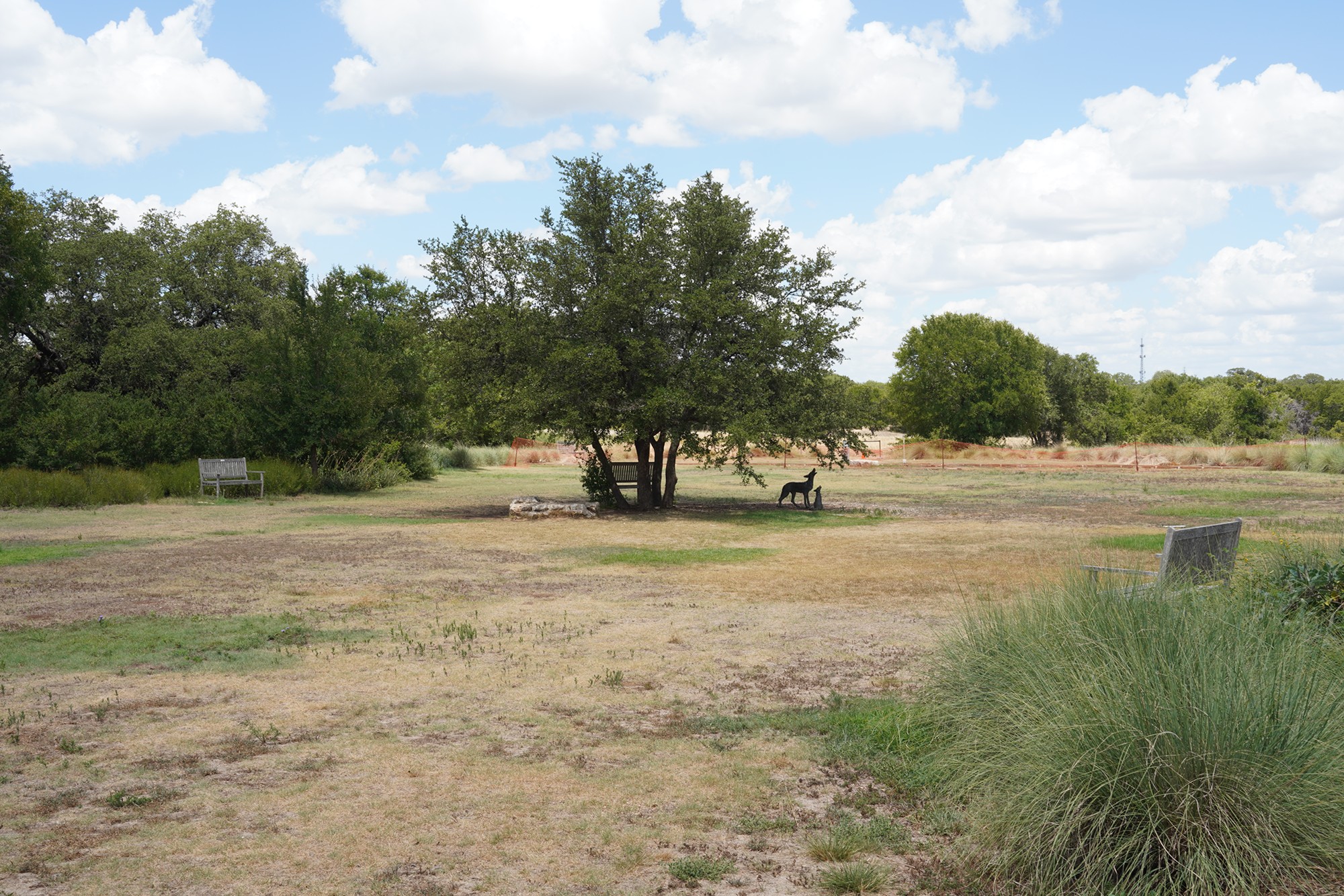 Lady Bird Johnson Wildflower Center (18)
