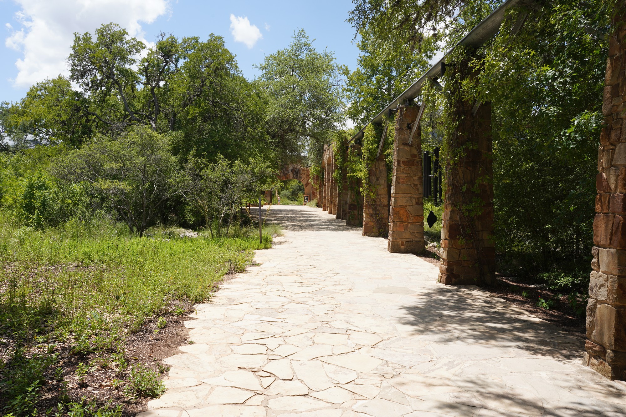 Lady Bird Johnson Wildflower Center (2)