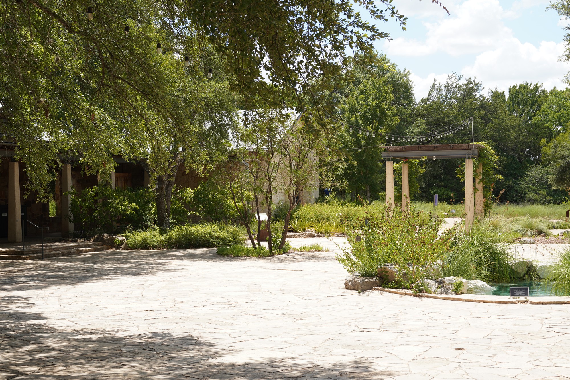 Lady Bird Johnson Wildflower Center (21)