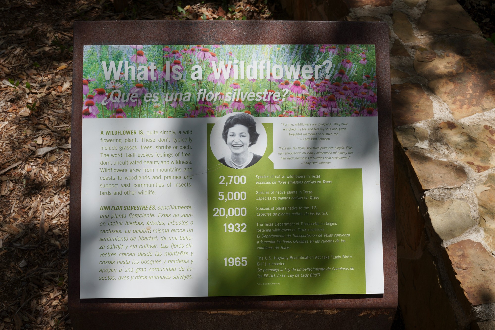 Lady Bird Johnson Wildflower Center (3)